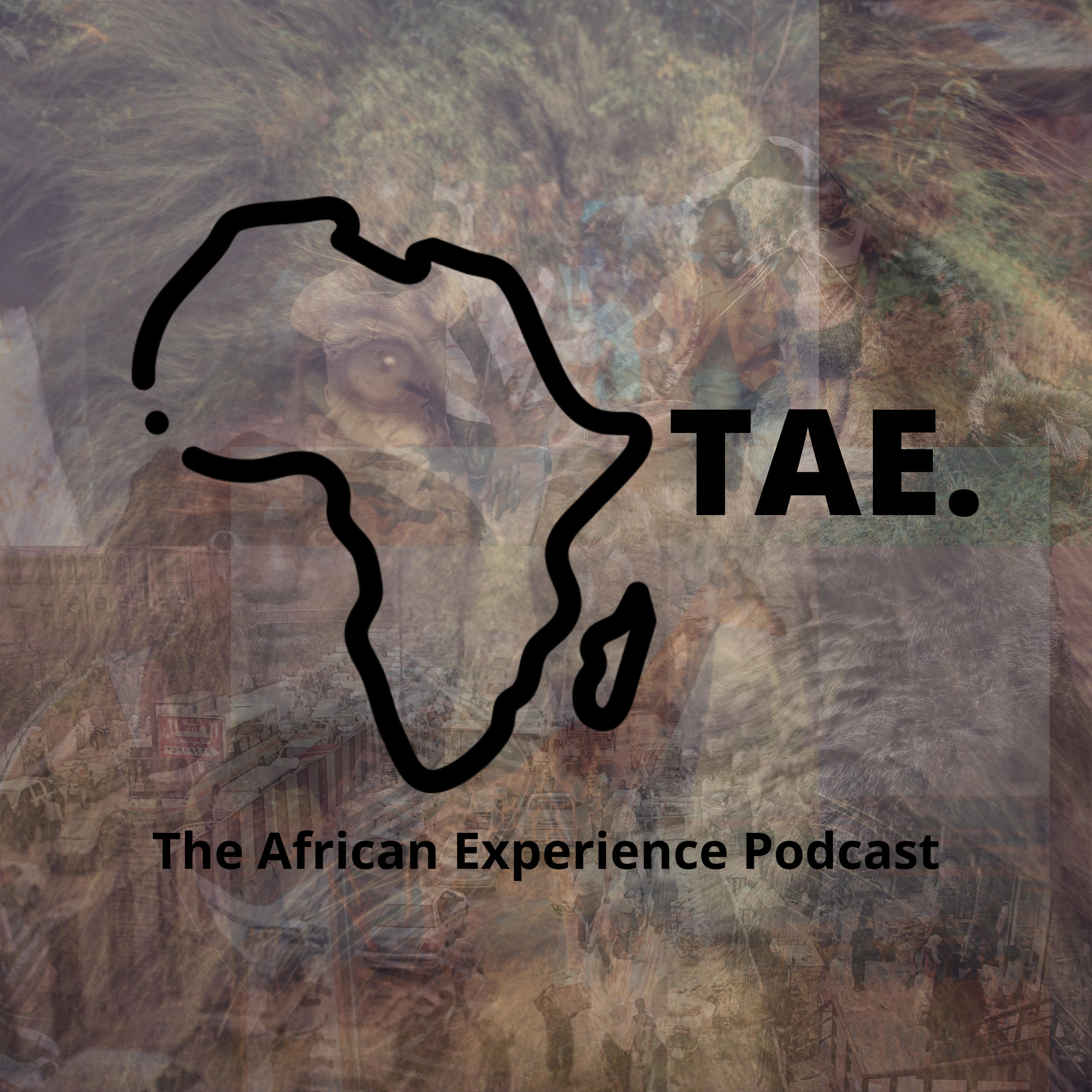 The African Experience Podcast