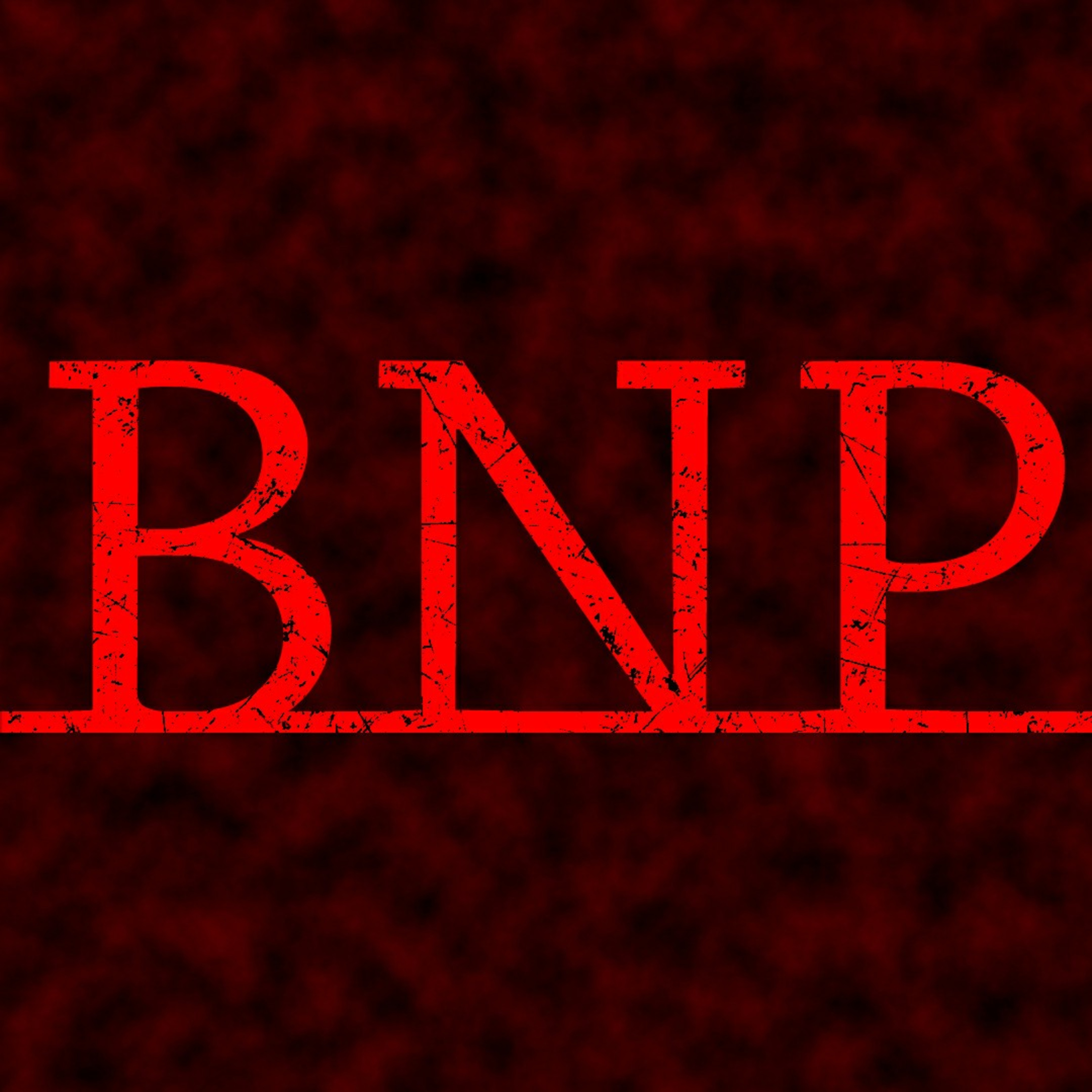 theofficialbnp