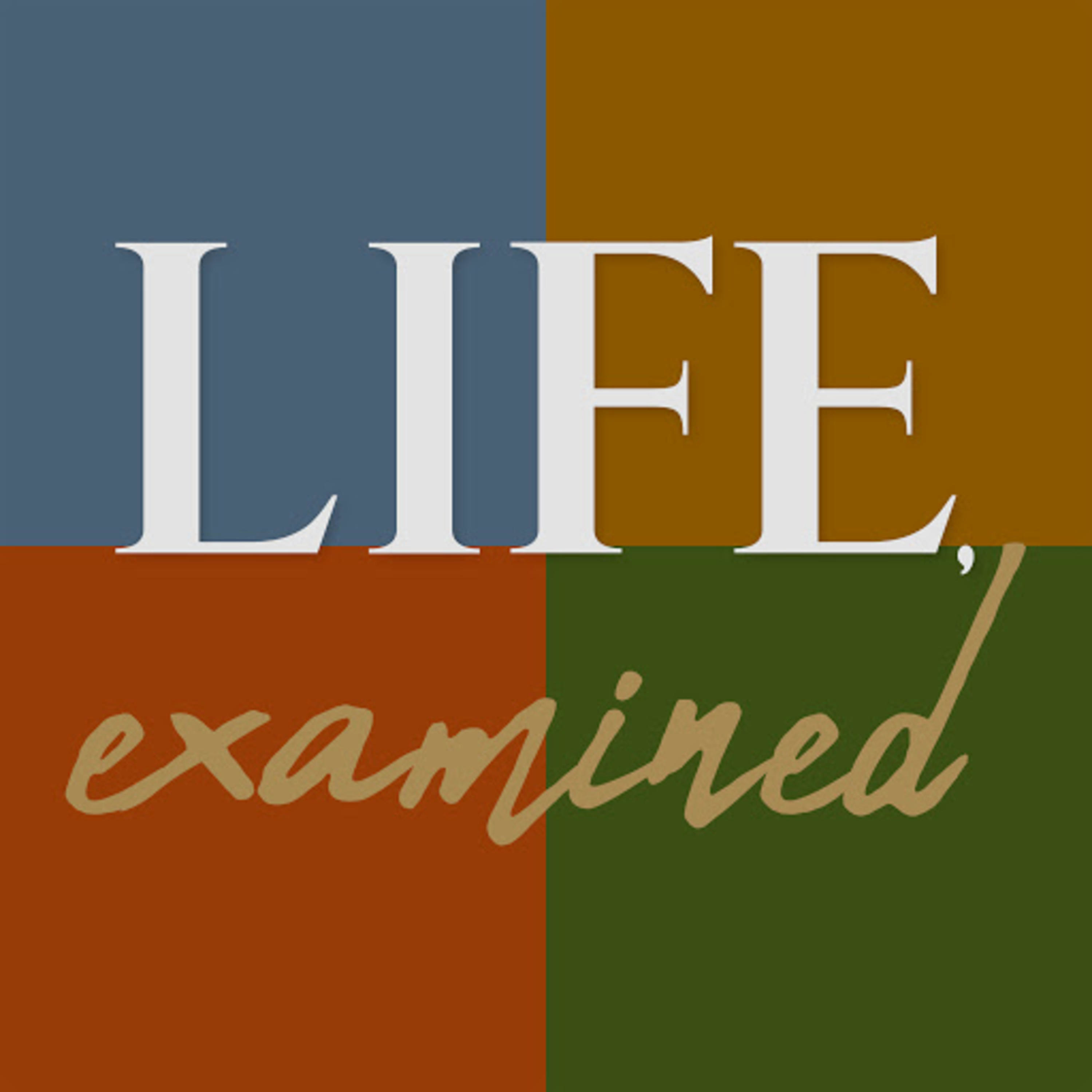 Life Examined