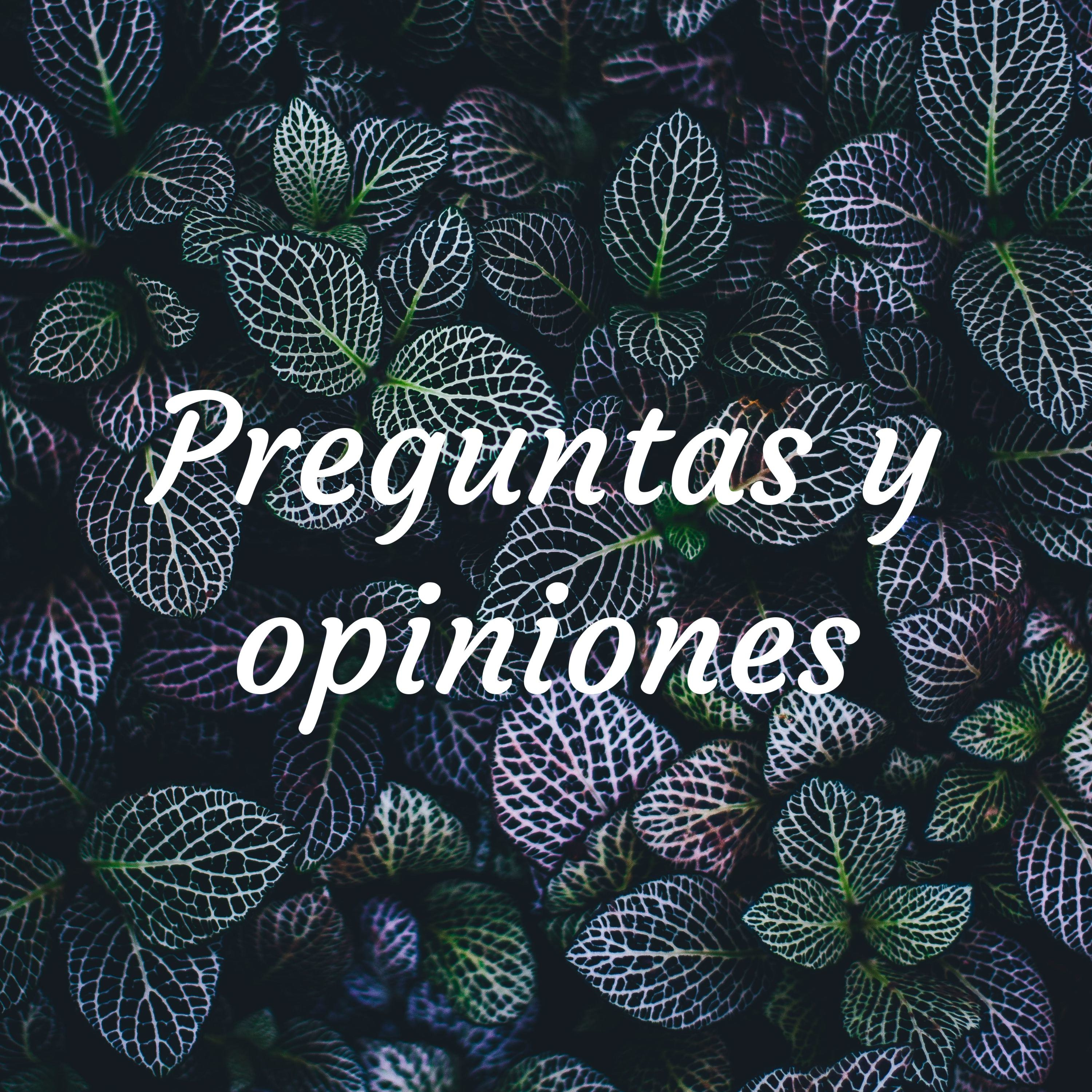 Preguntas y opiniones