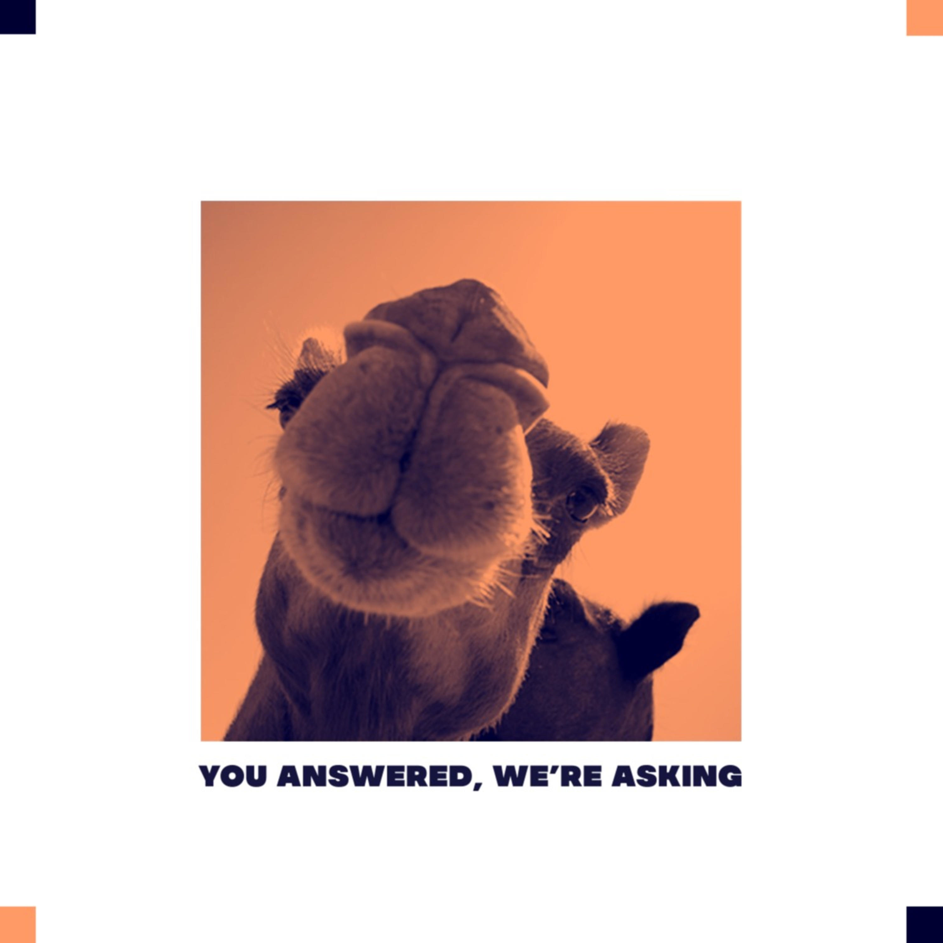 You Answered, We\'re Asking