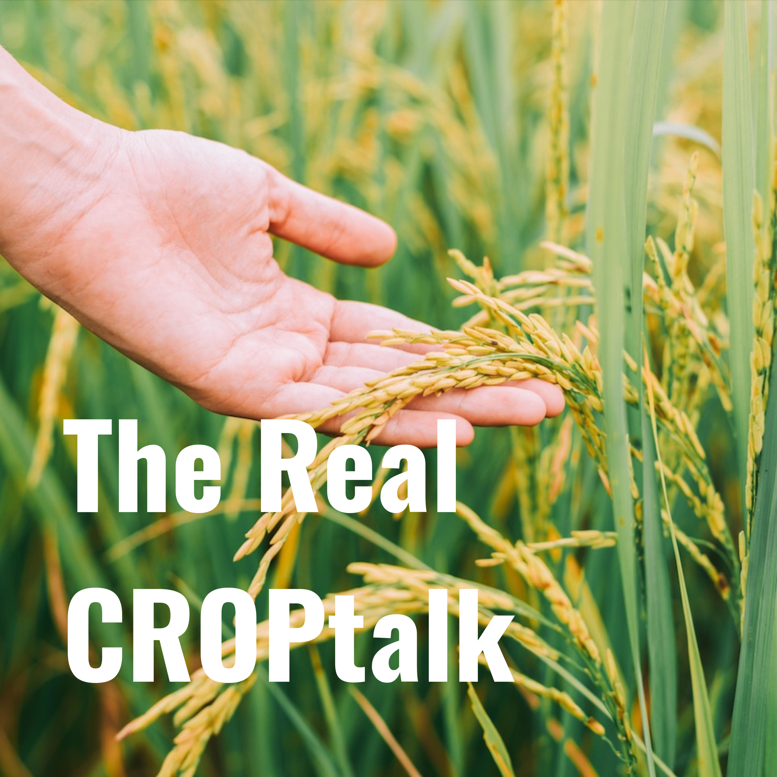 The Real CROPtalk