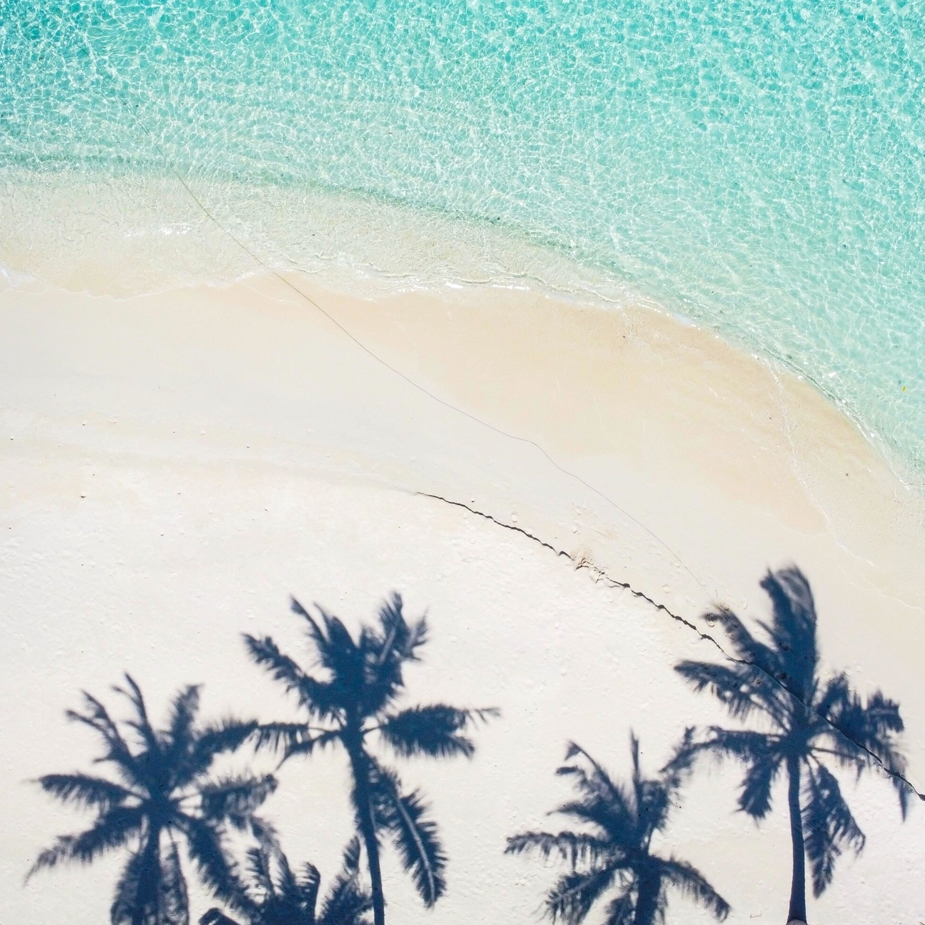 えんがわトーク