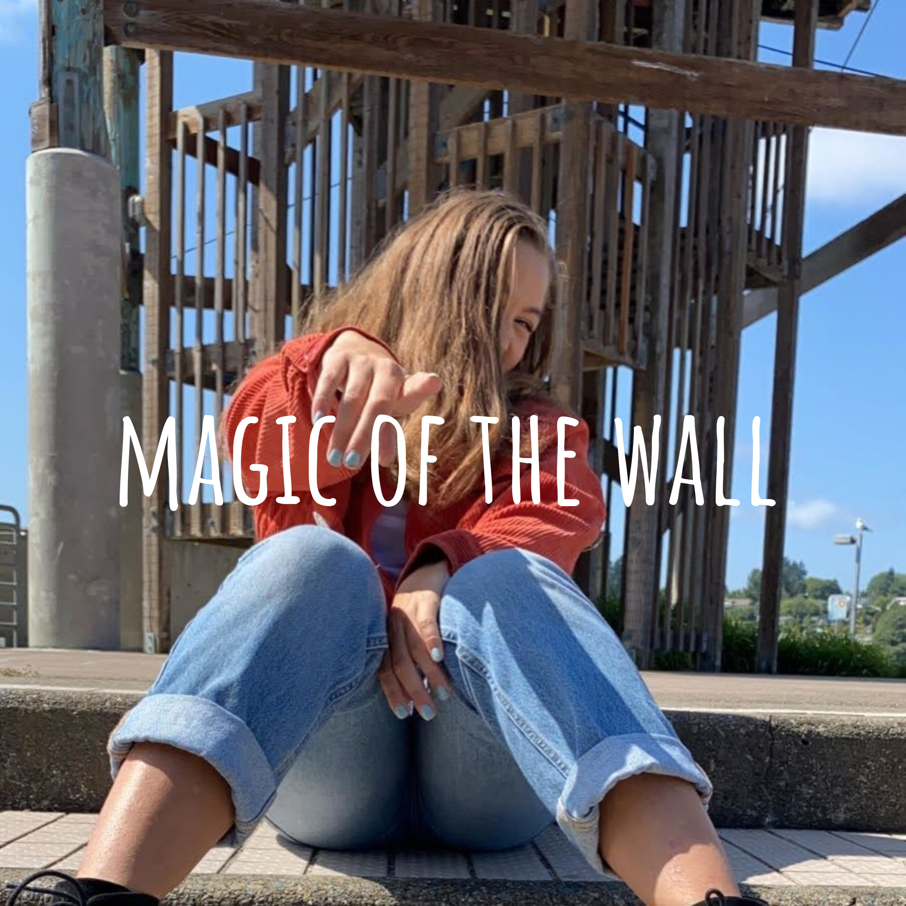 magic of the wall