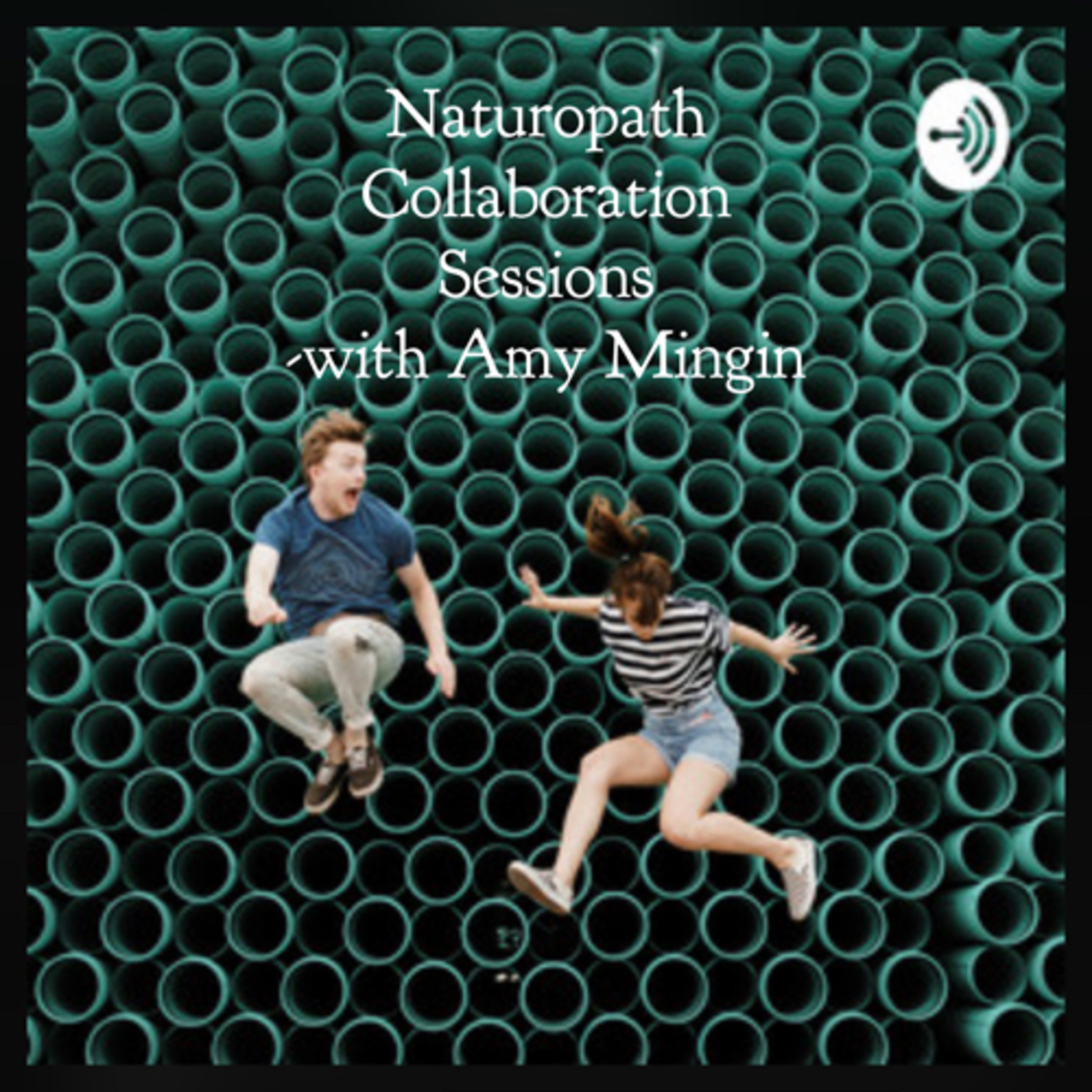 Naturopath Collaboration Sessions
