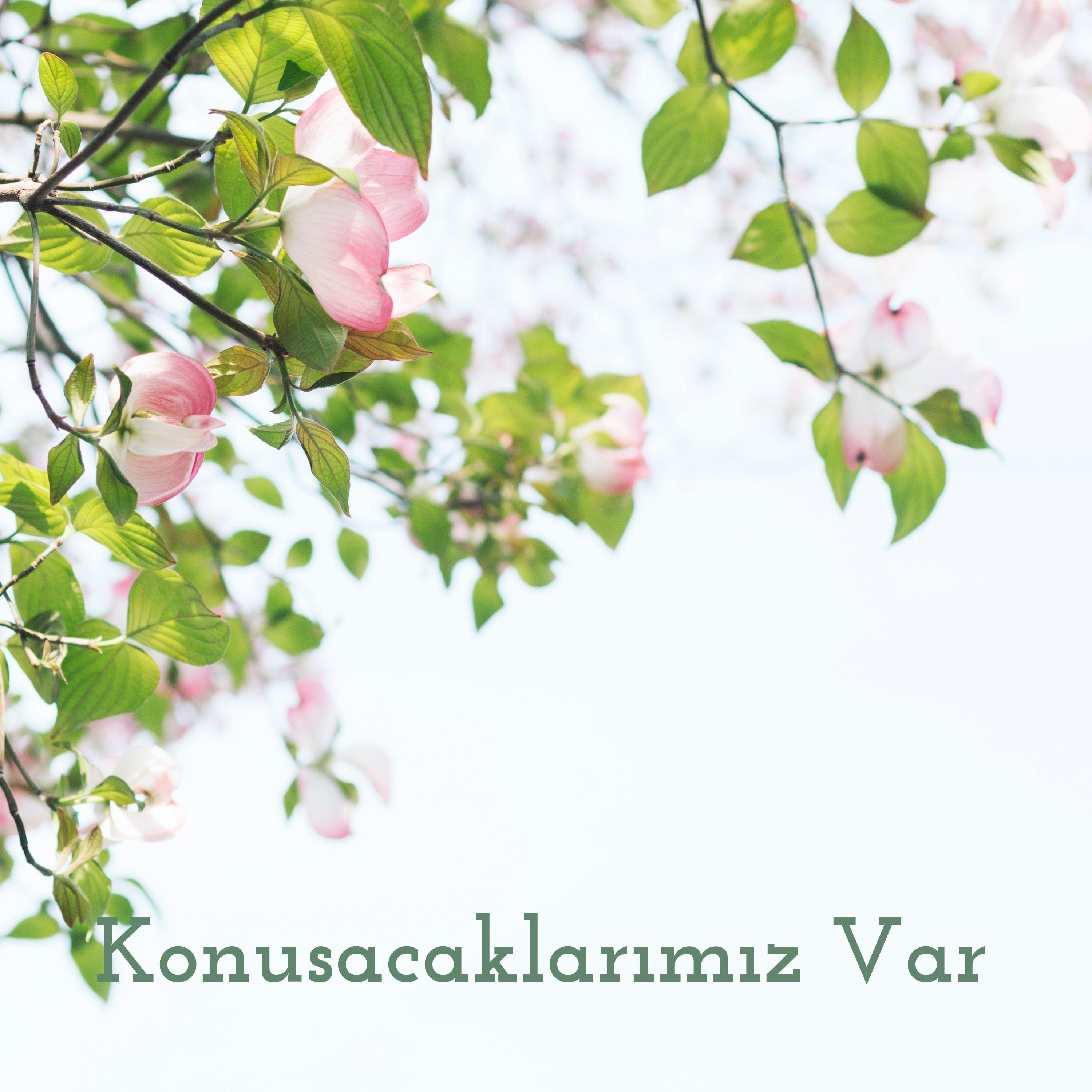 Konusacaklarımız Var cover