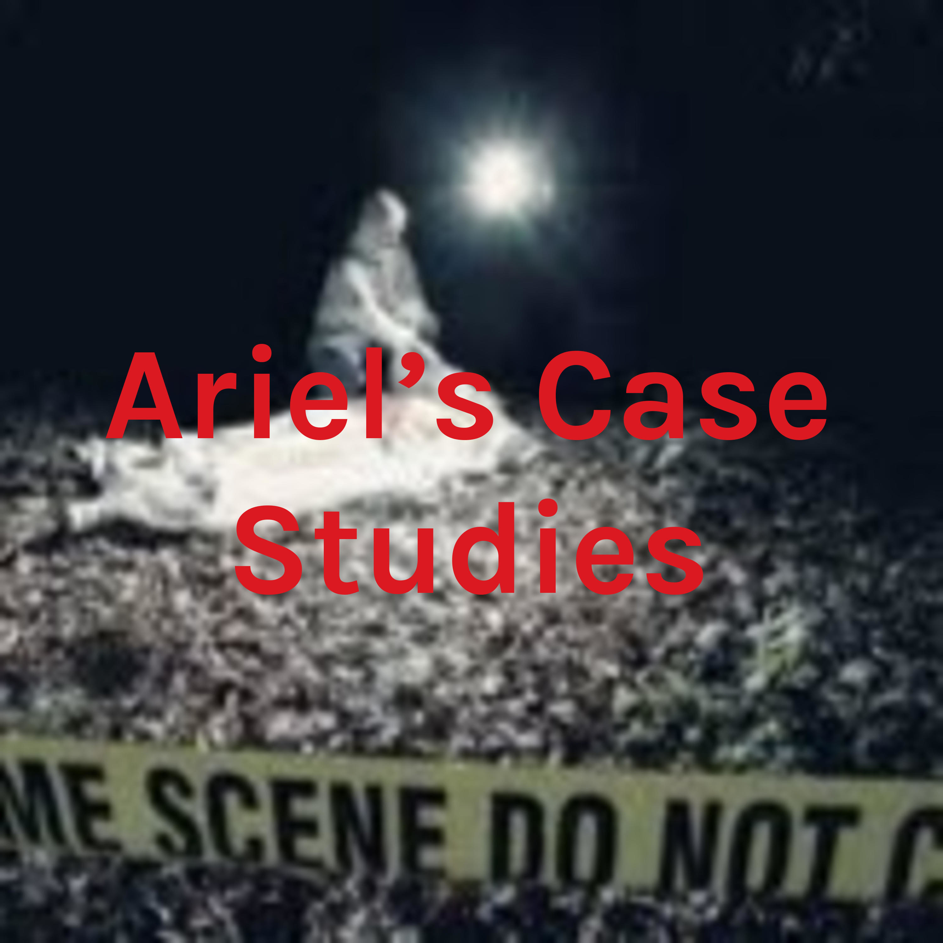 Ariel's Case Studies