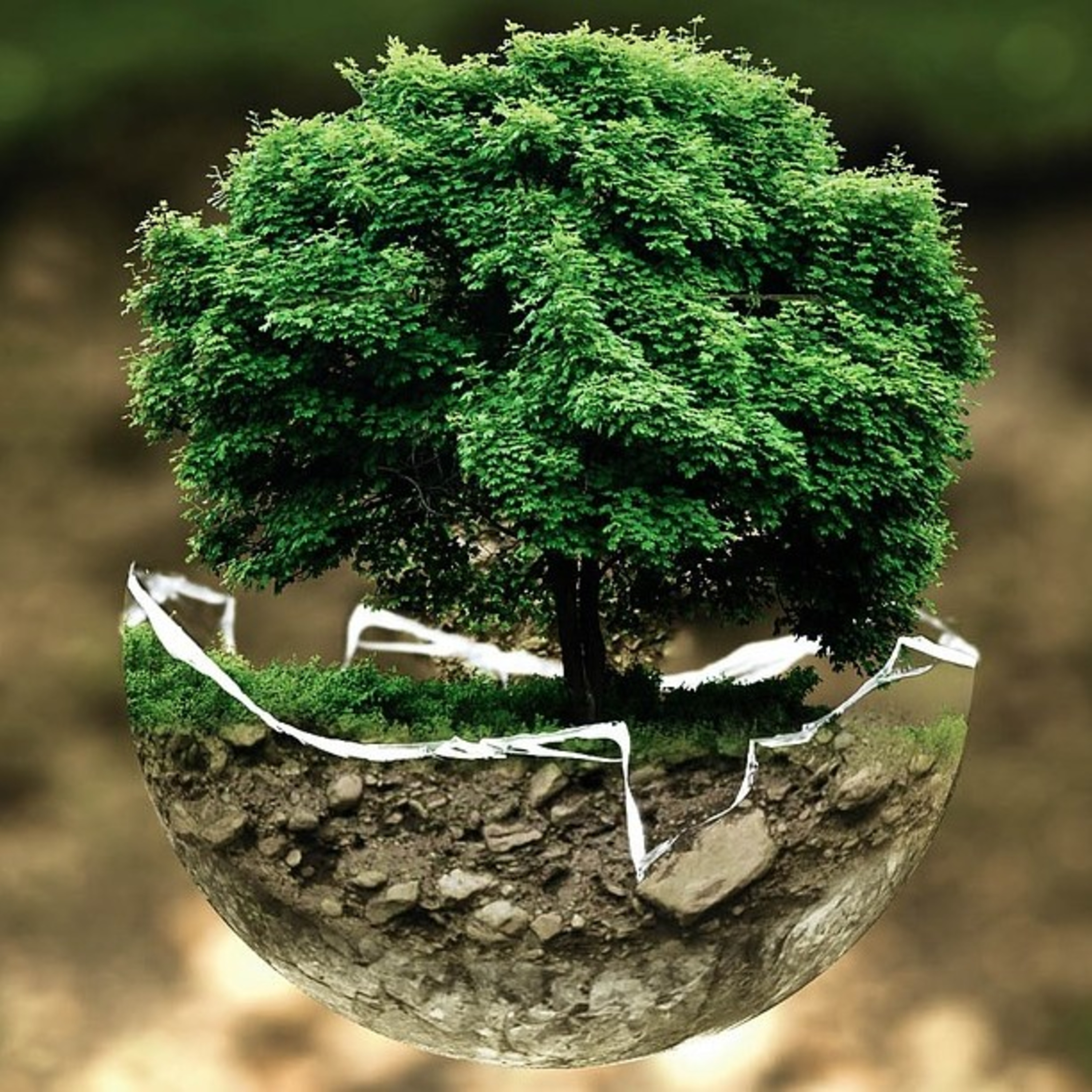 Émission - Le Nouveau Monde 