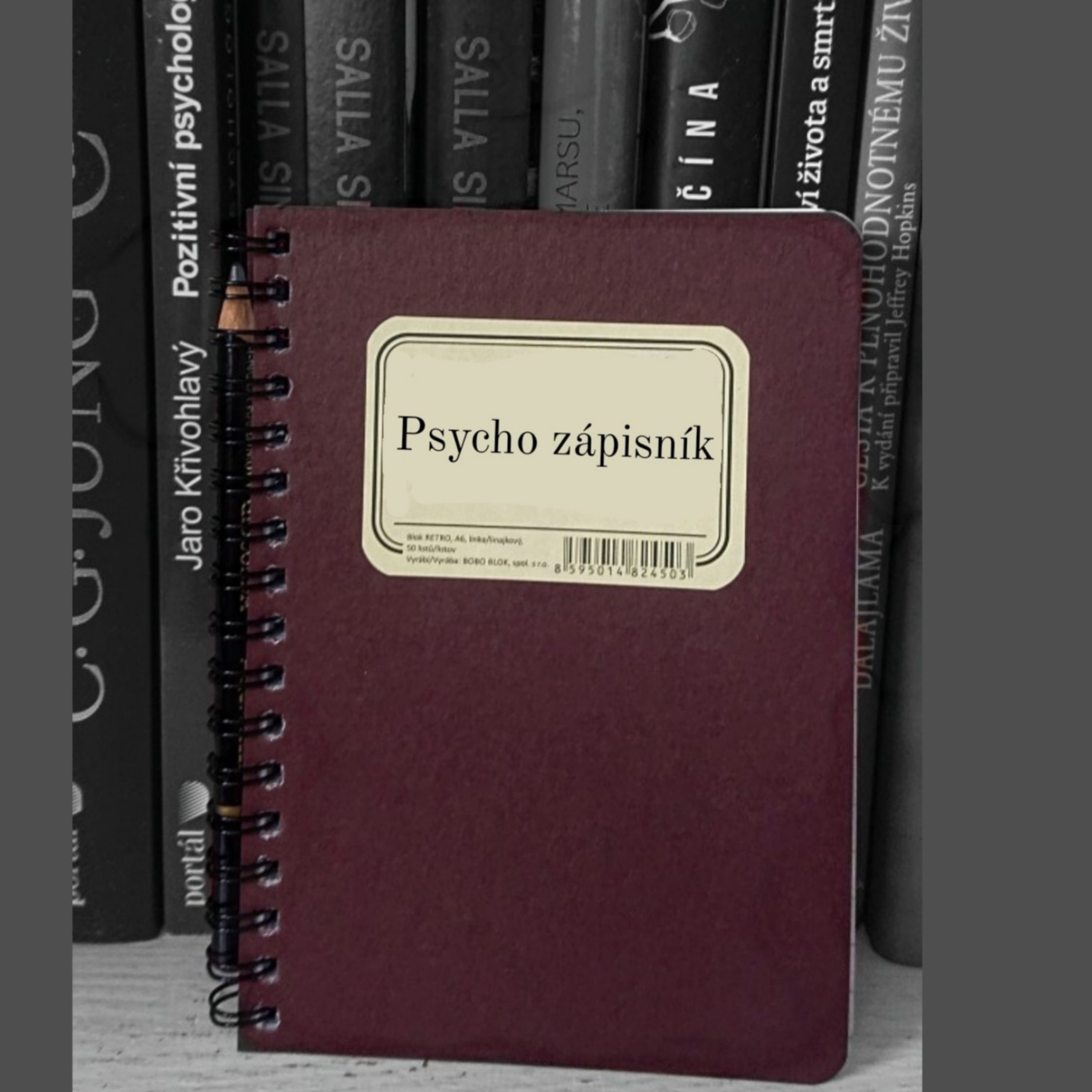 Psycho zápisník