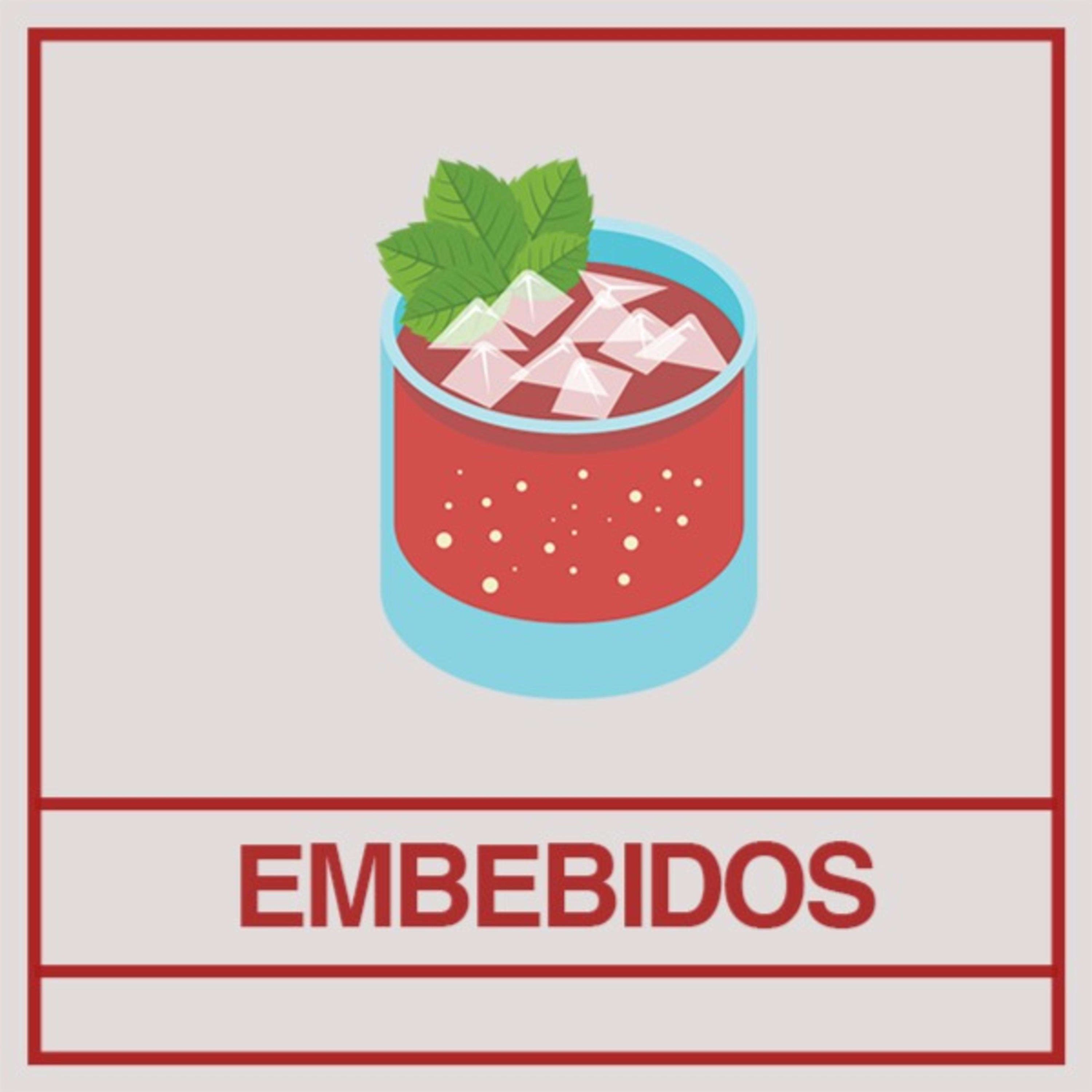 Portada de Embebidos