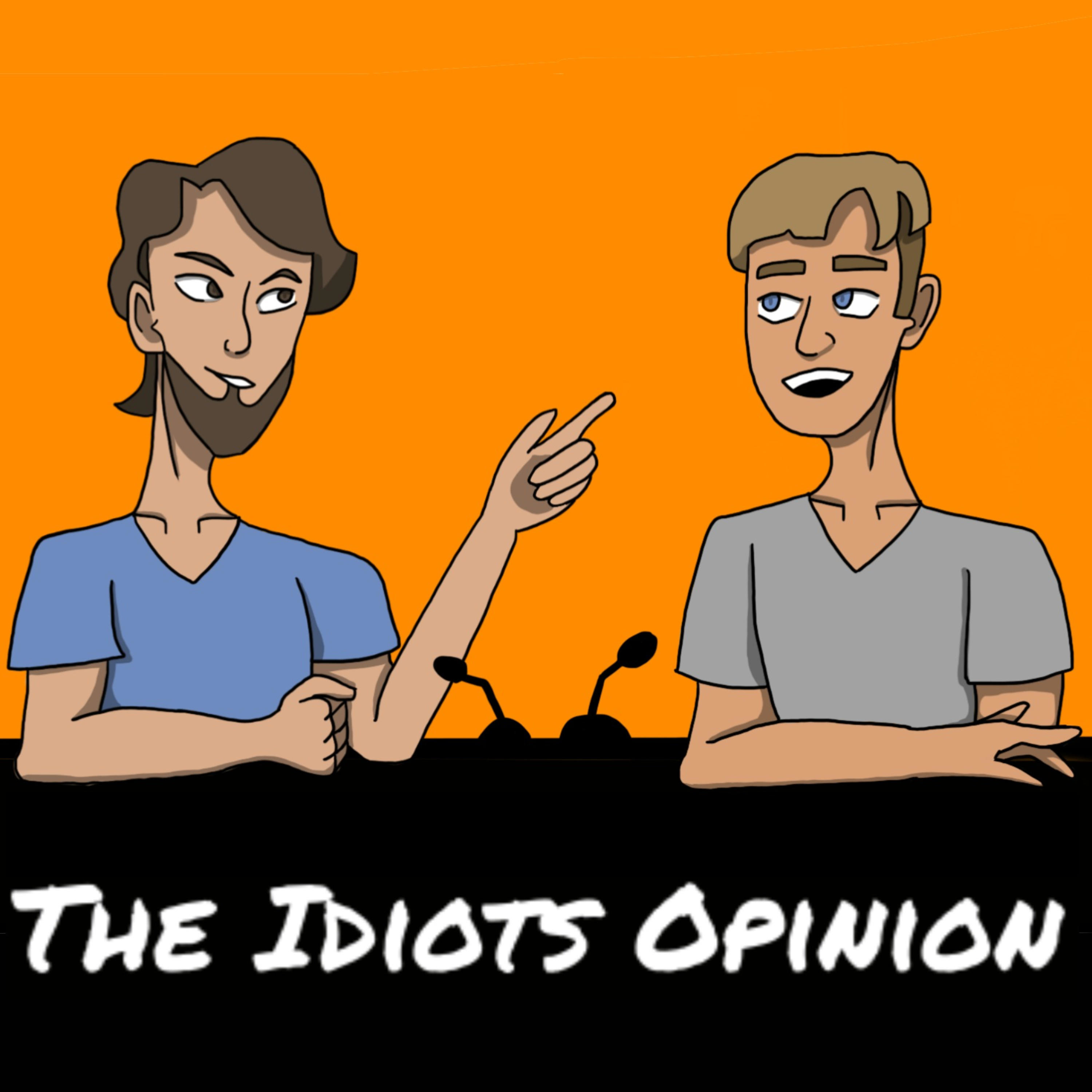 The Idiots Opinion