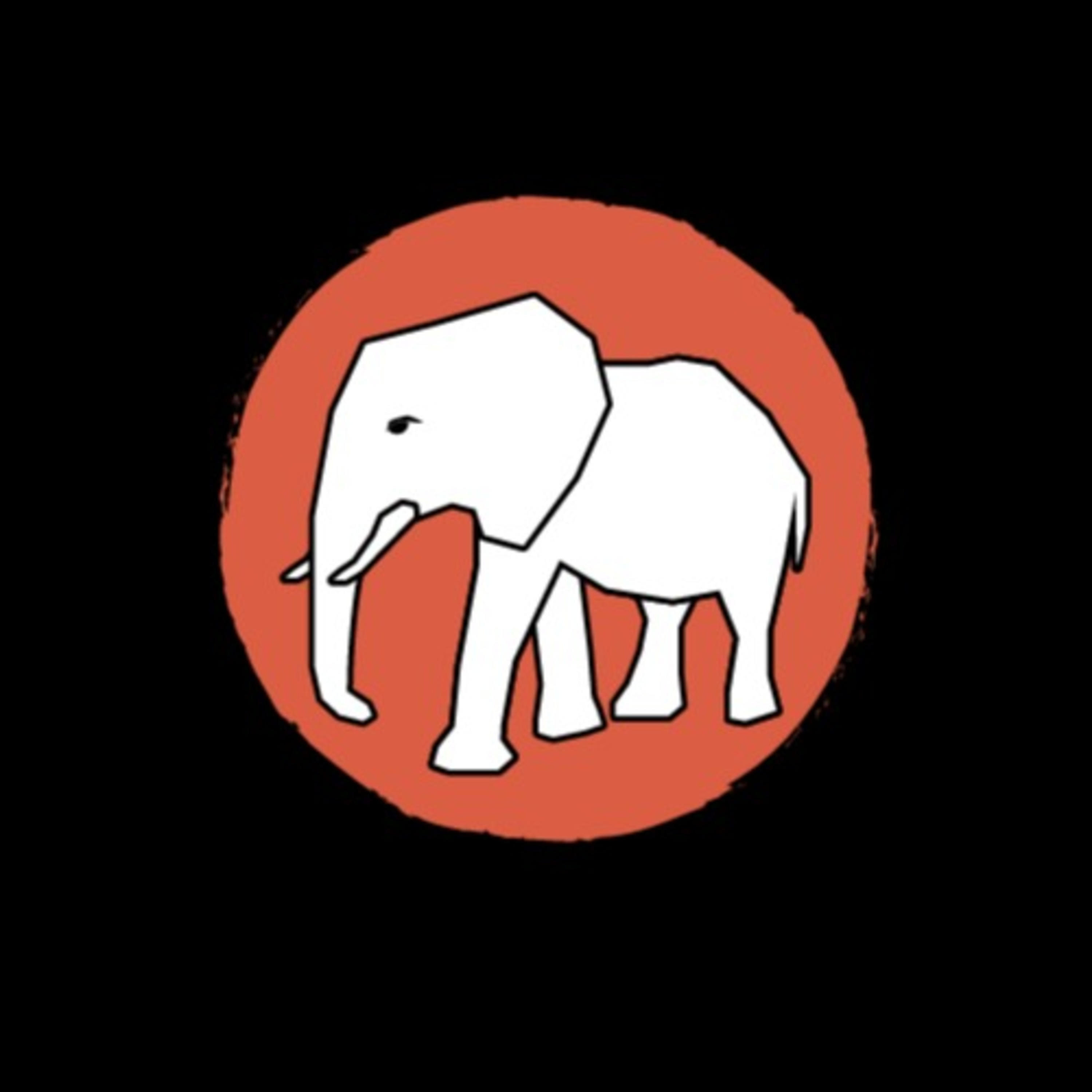 Programa Elefante Branco cover art