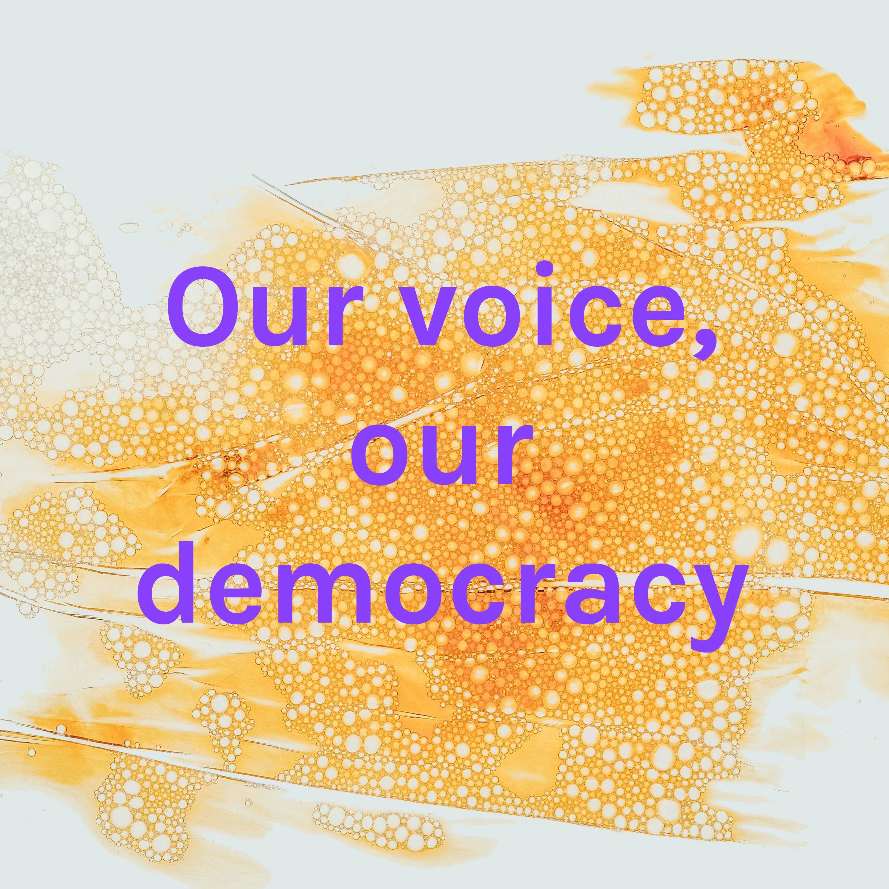Our voice, our democracy