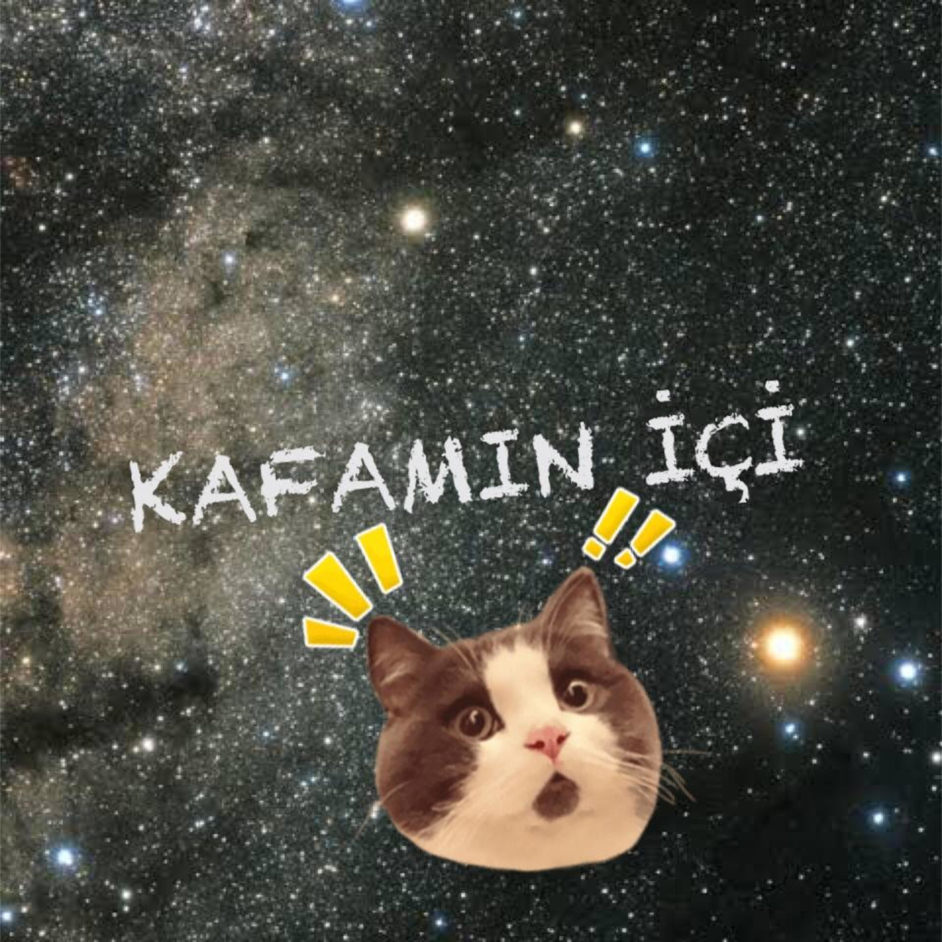 Kafamın İçi