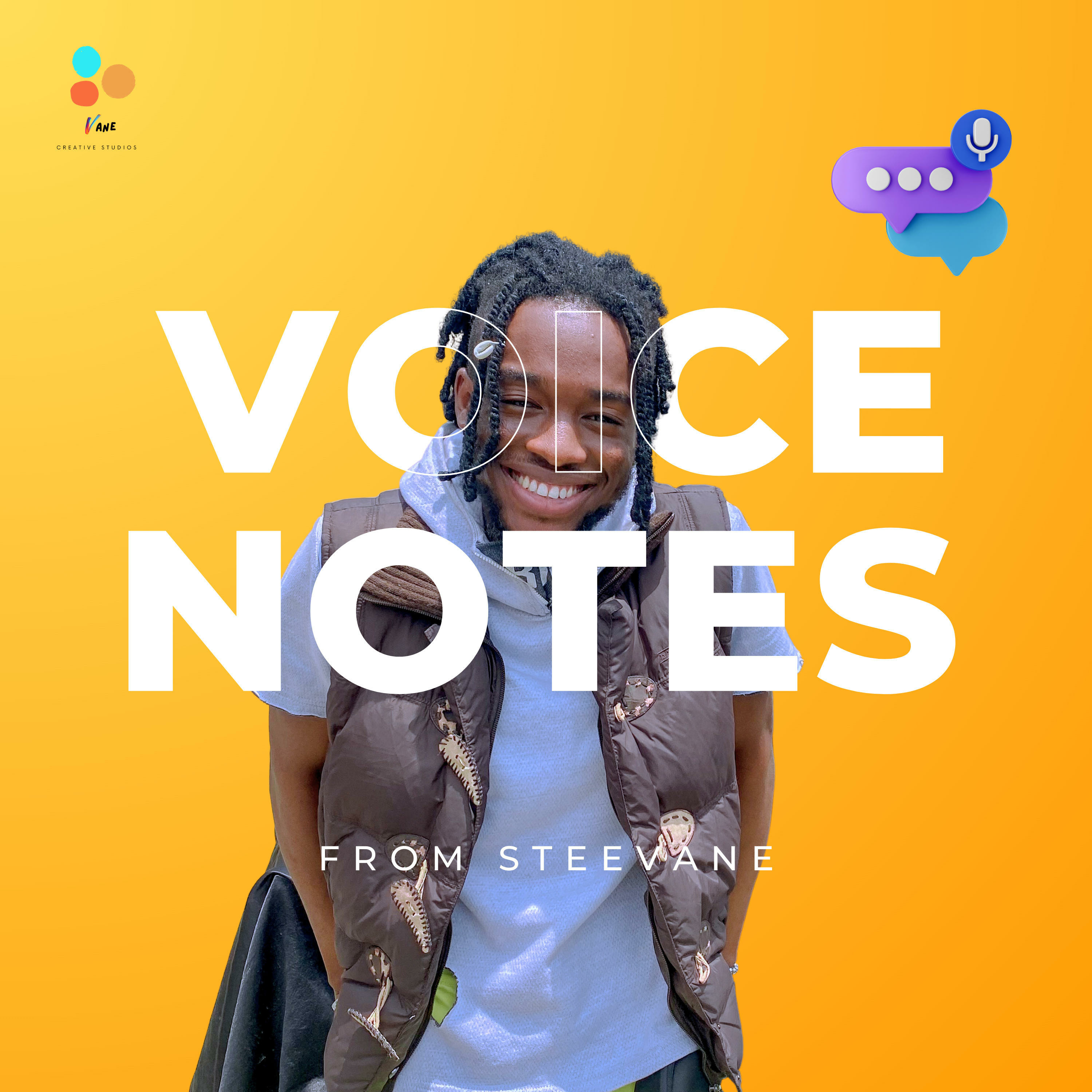 Voice Notes from Steevane