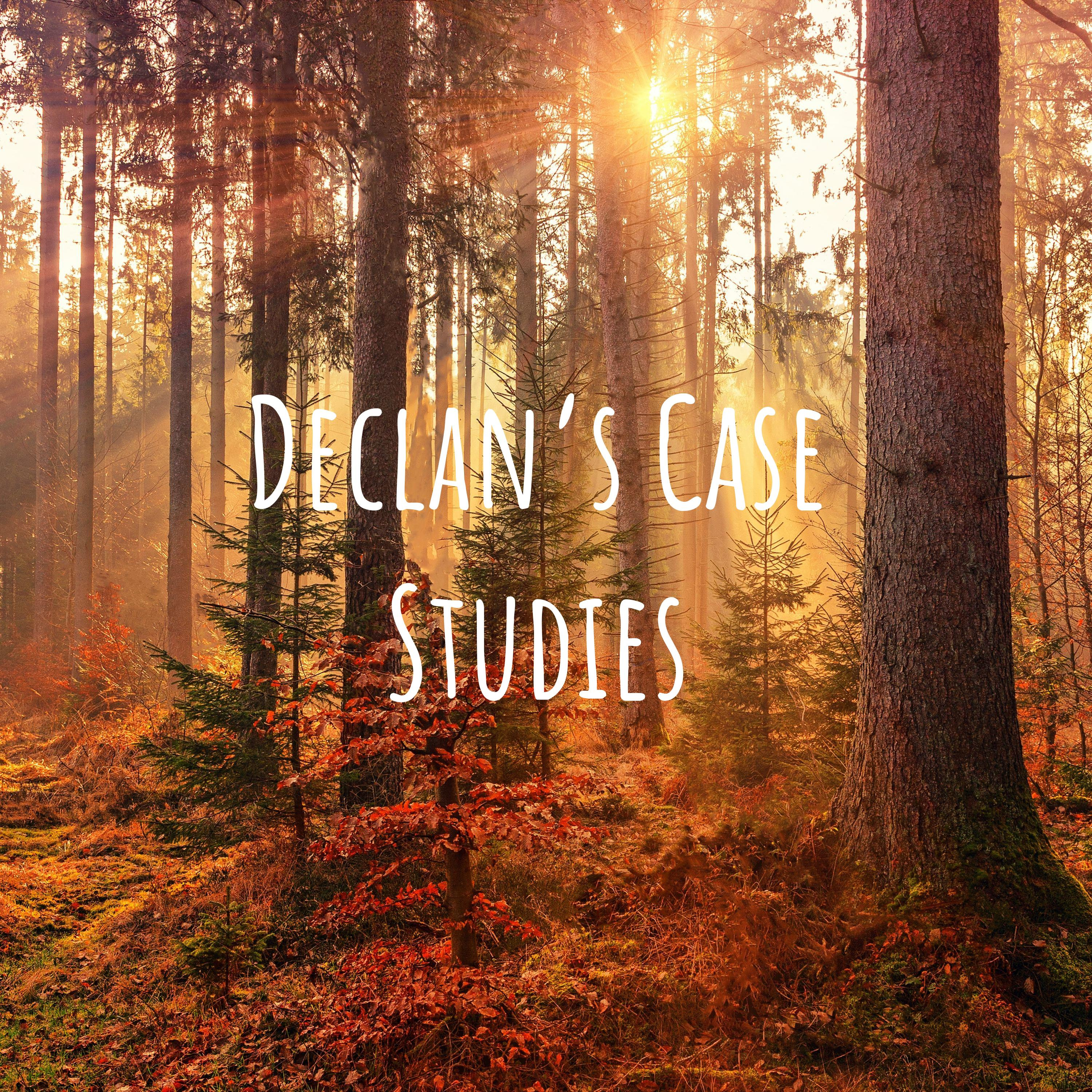 Declan\'s Case Studies