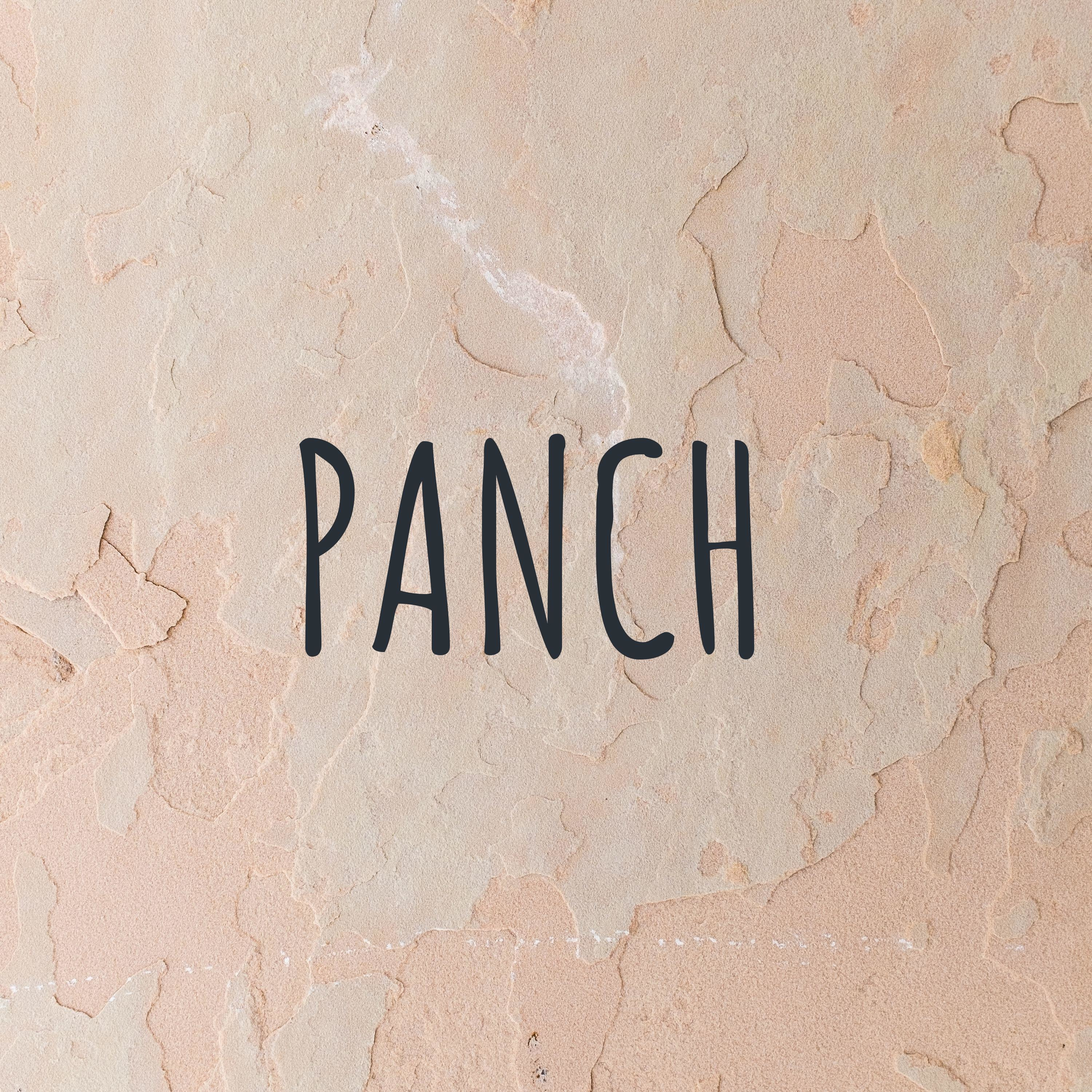 Radio PANCH