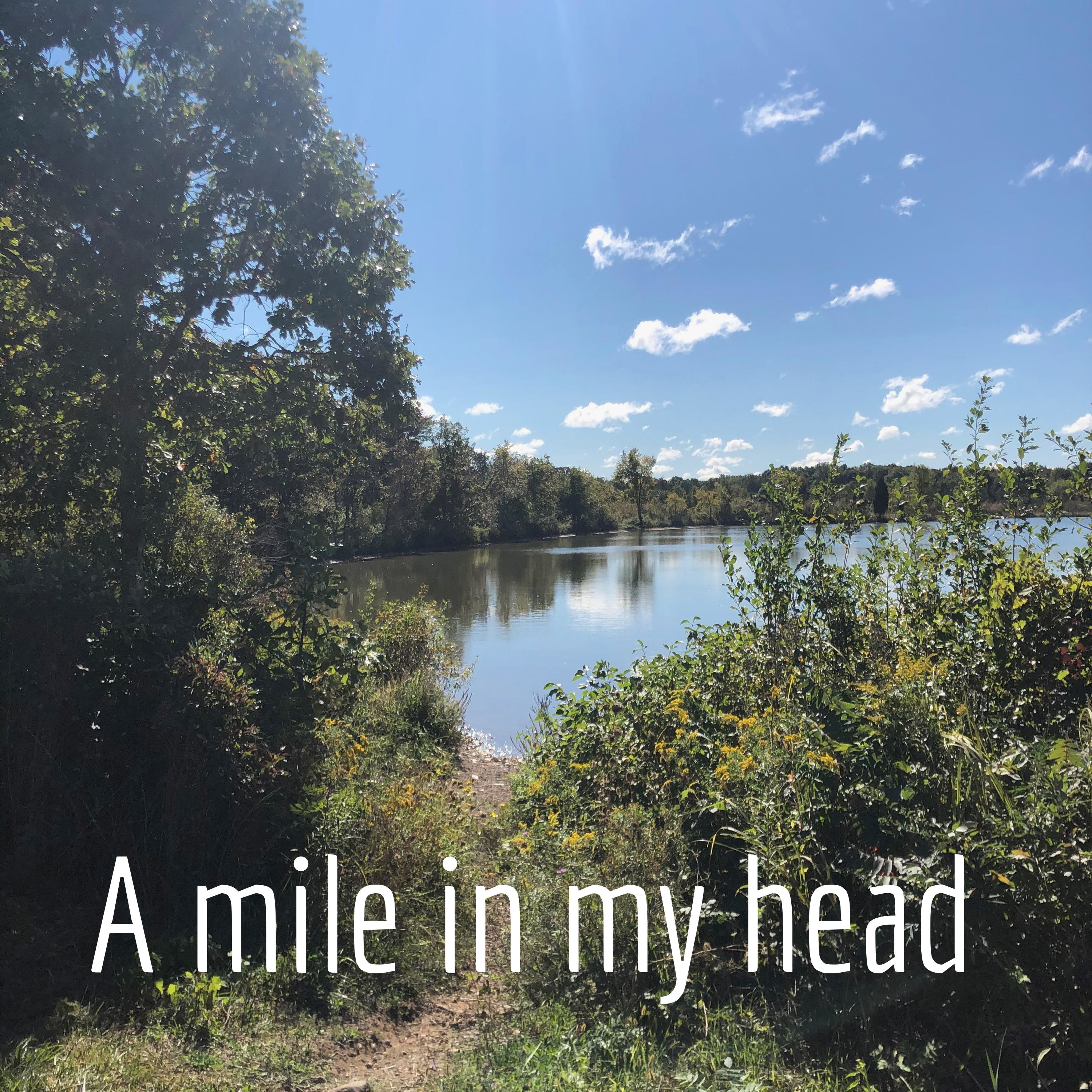 Wally Metts: a mile in my head (Trailer)