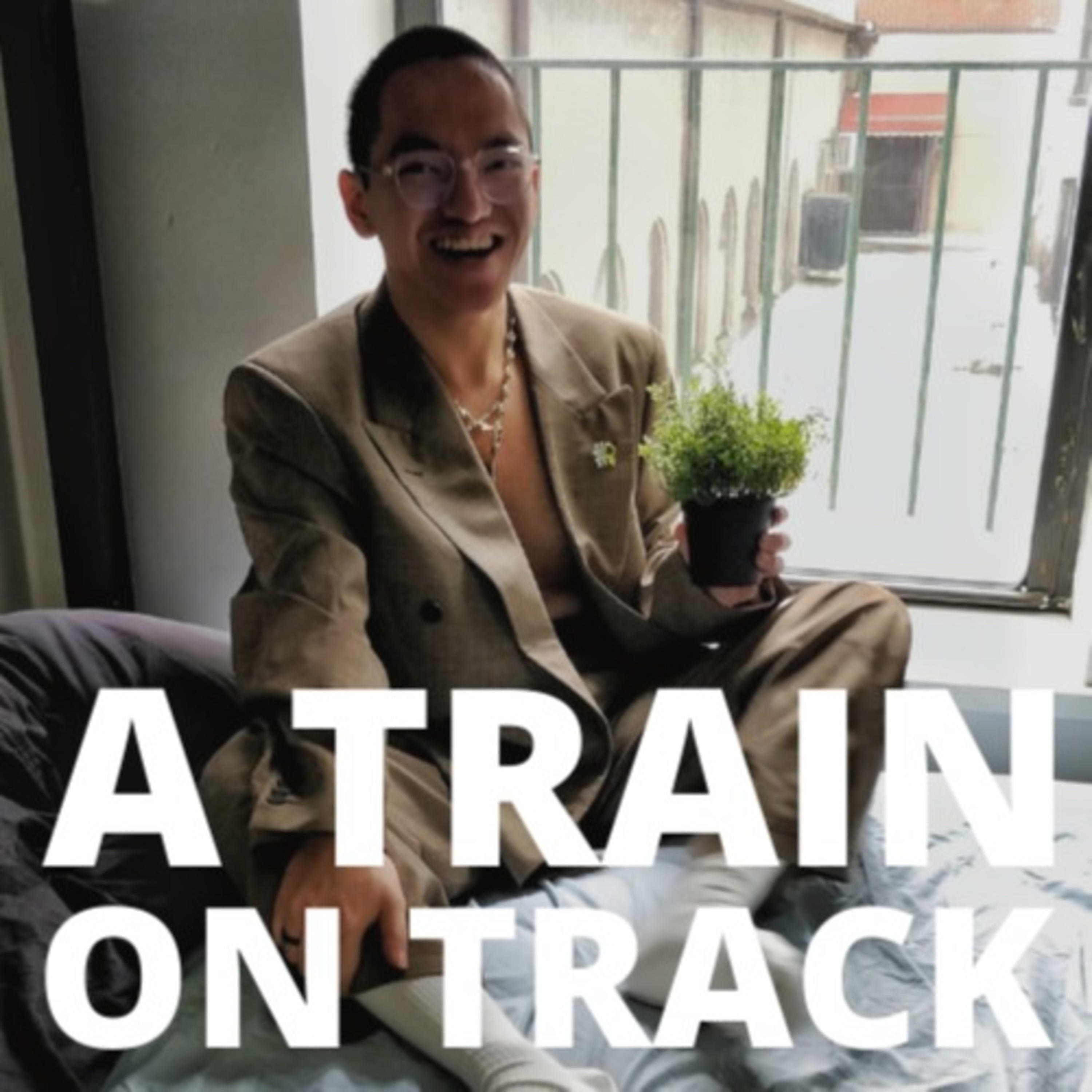 A Train On Track