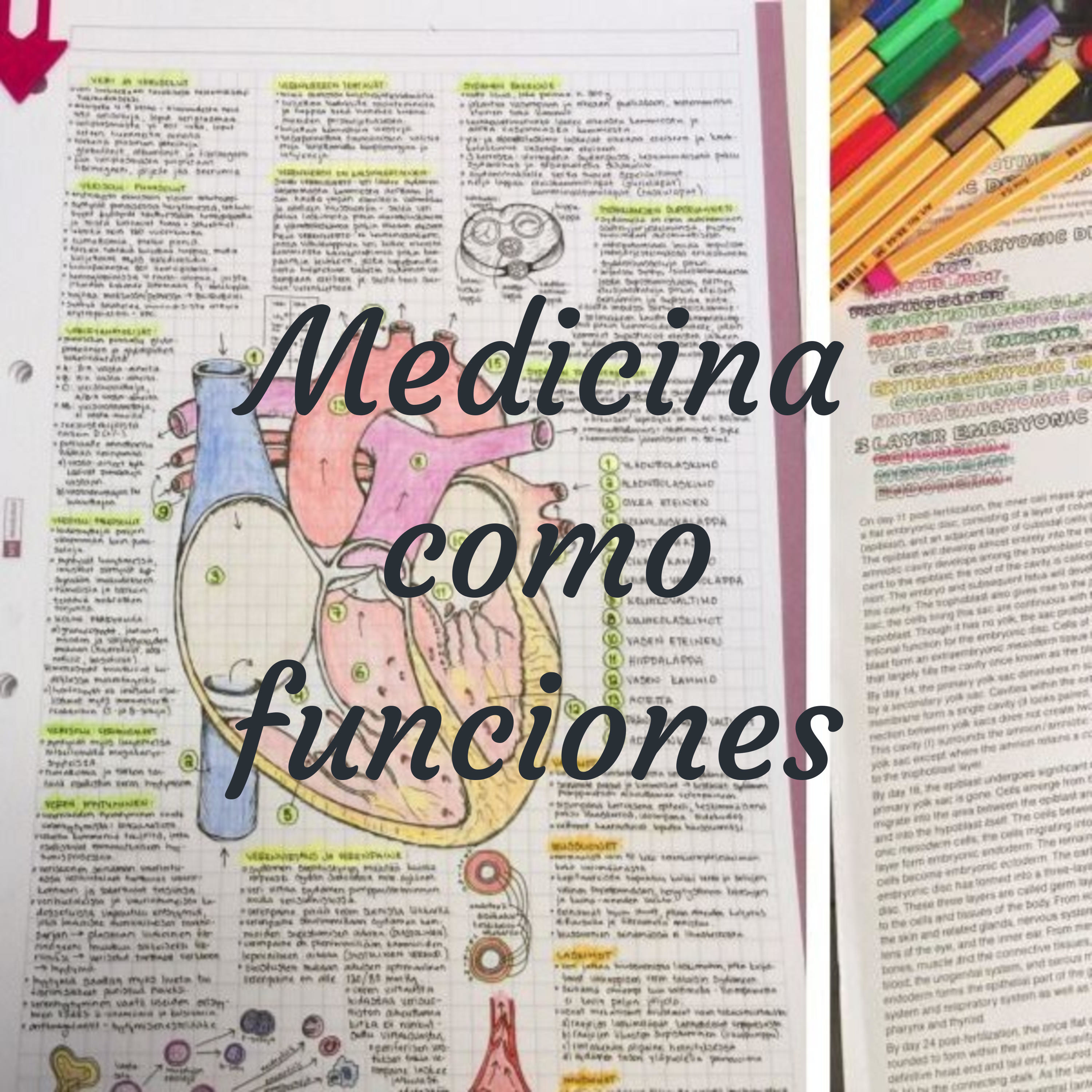 Funciones en Medicina 