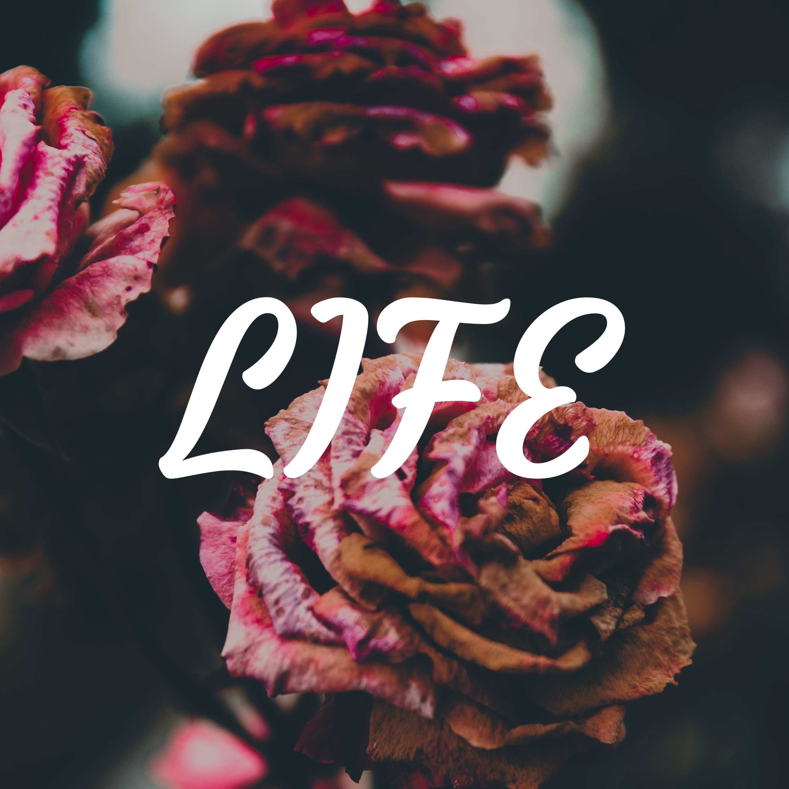 LIFE