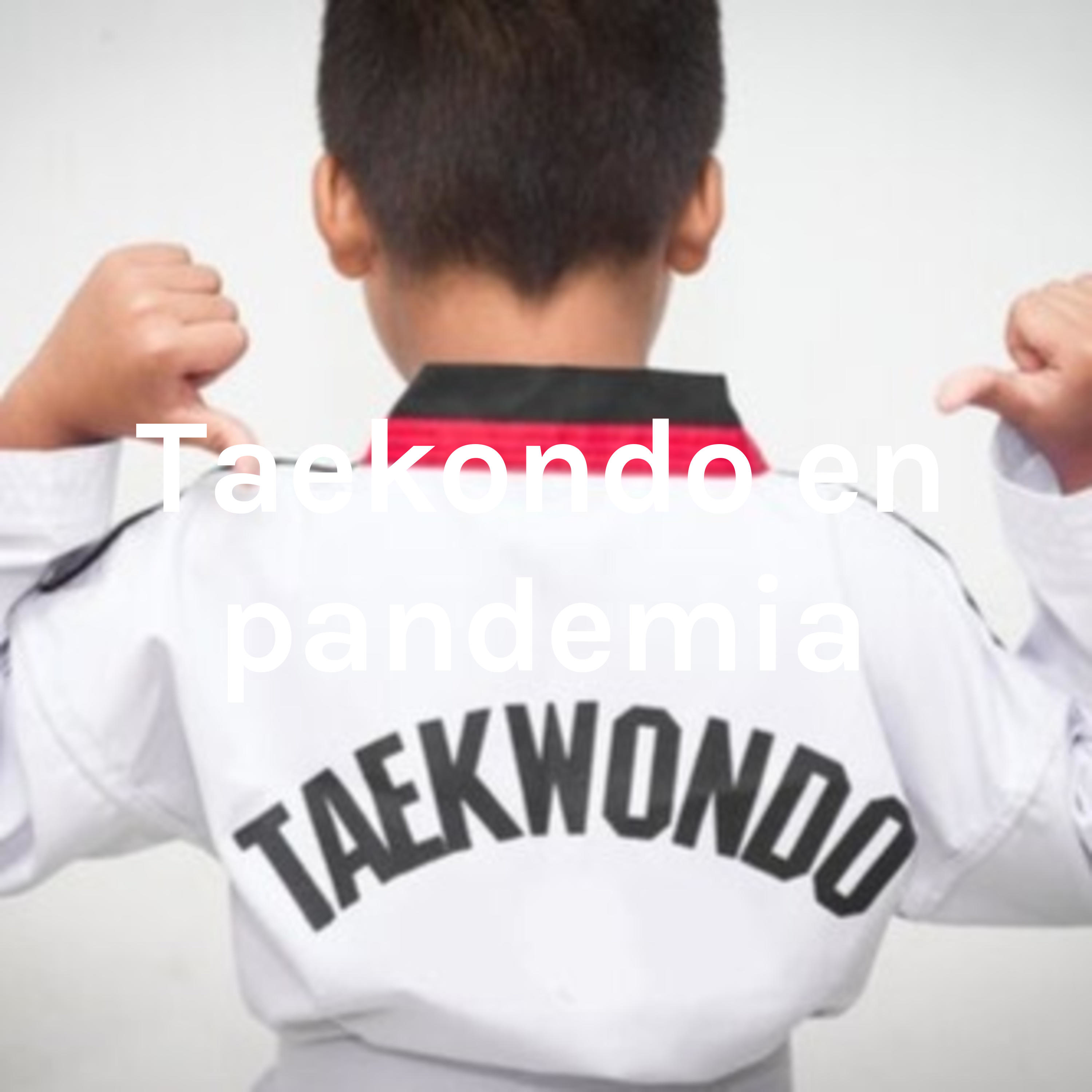 Taekondo en pandemia - Mateo León