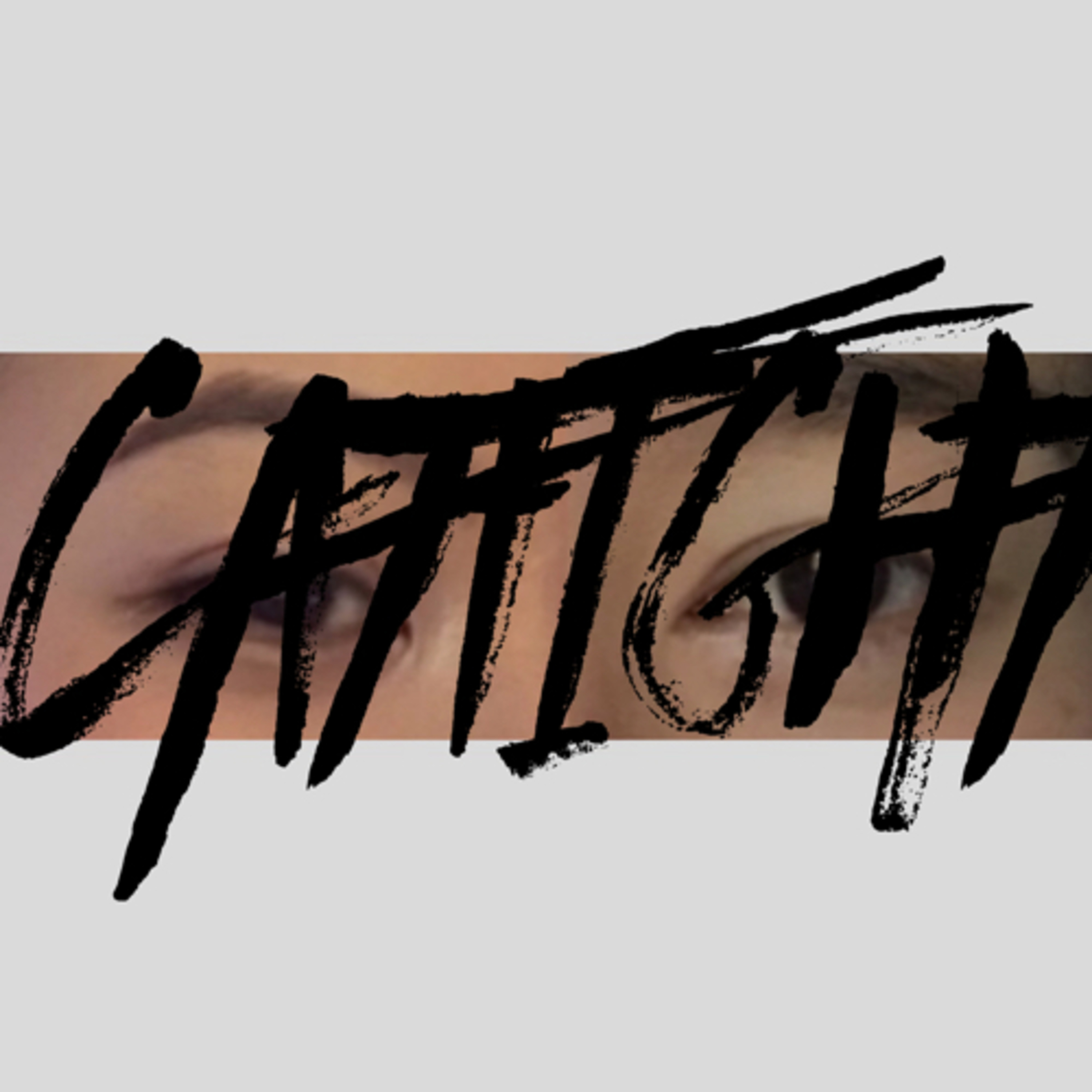 Catfight