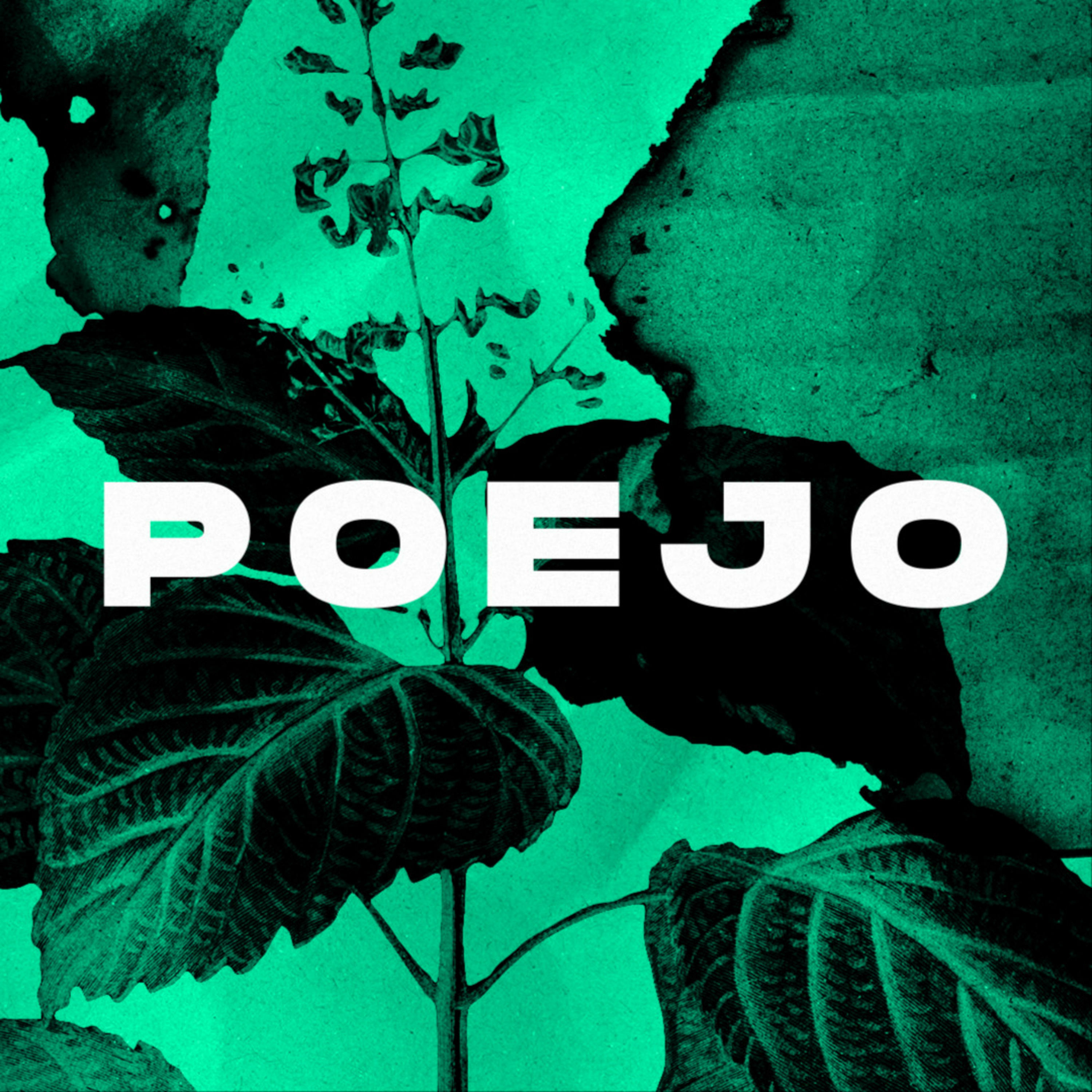 Sobre Poços episode artwork