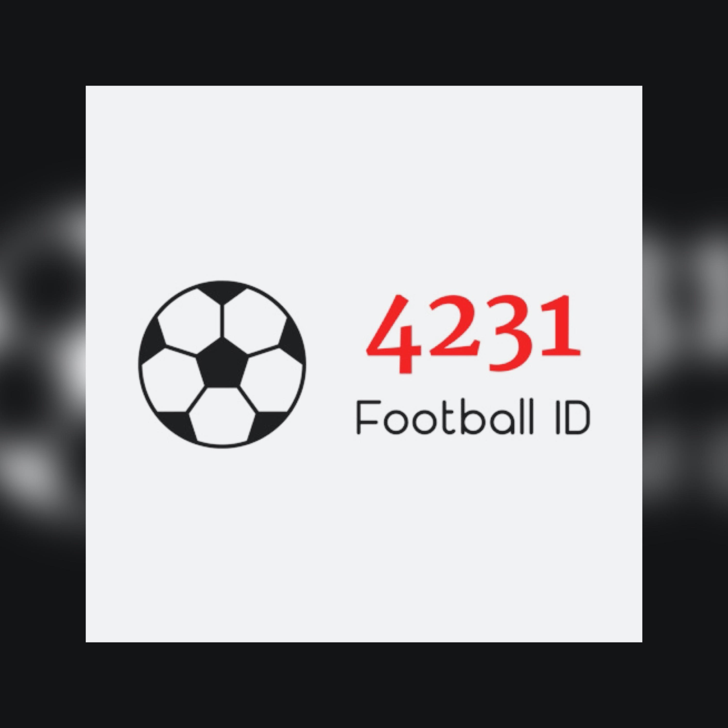 4231