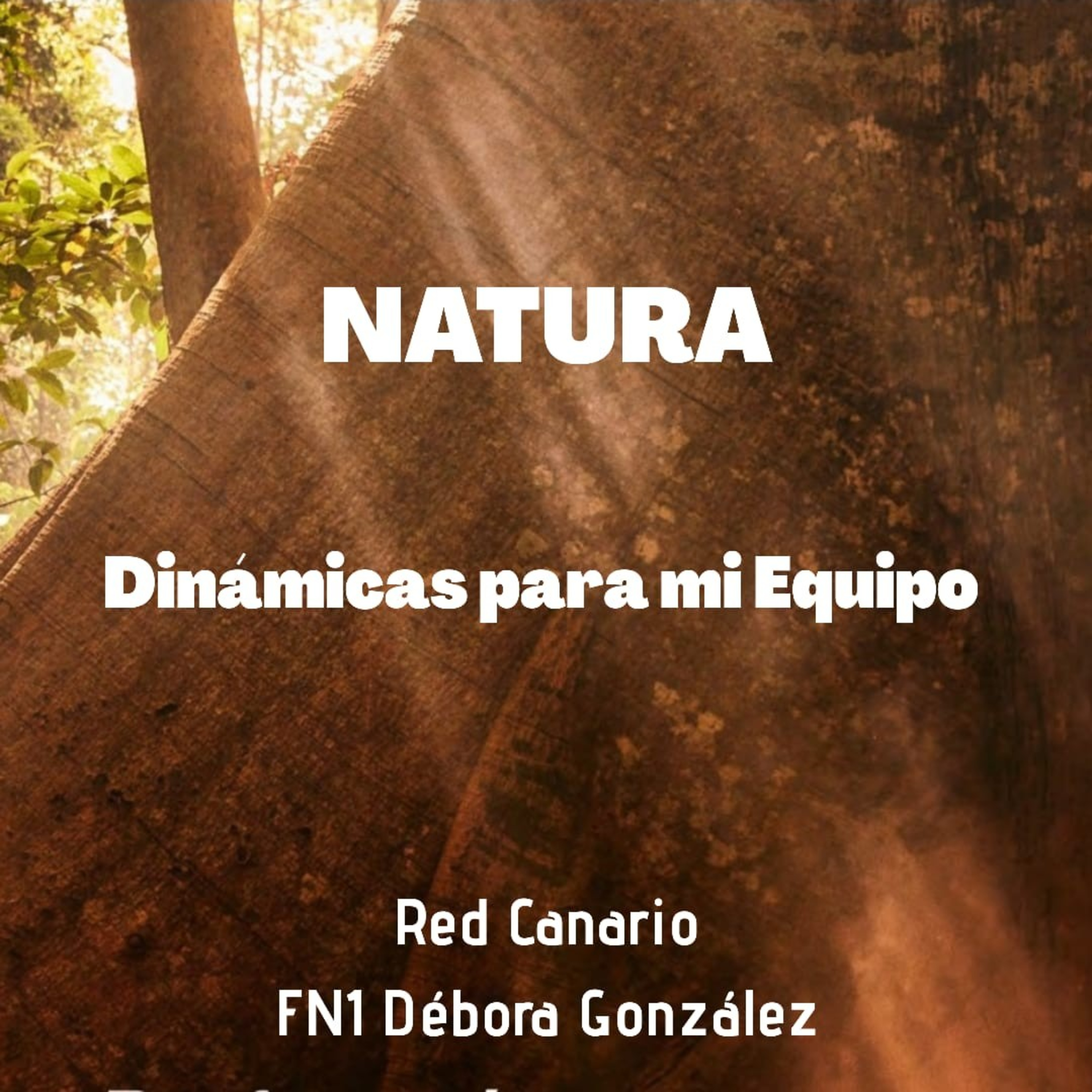Natura Débora González Charlas Para Mi Equipo.