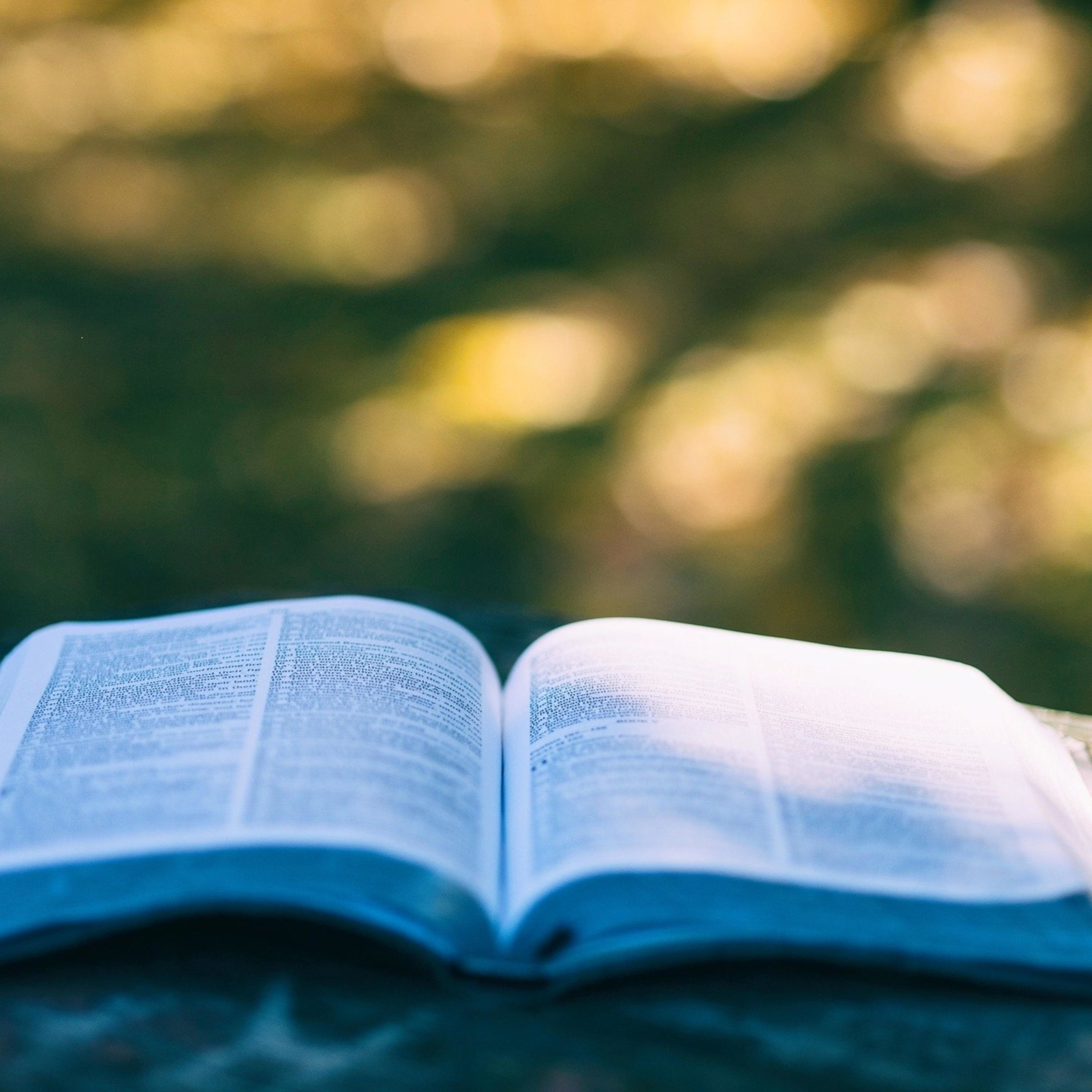 阿心声音 cover art