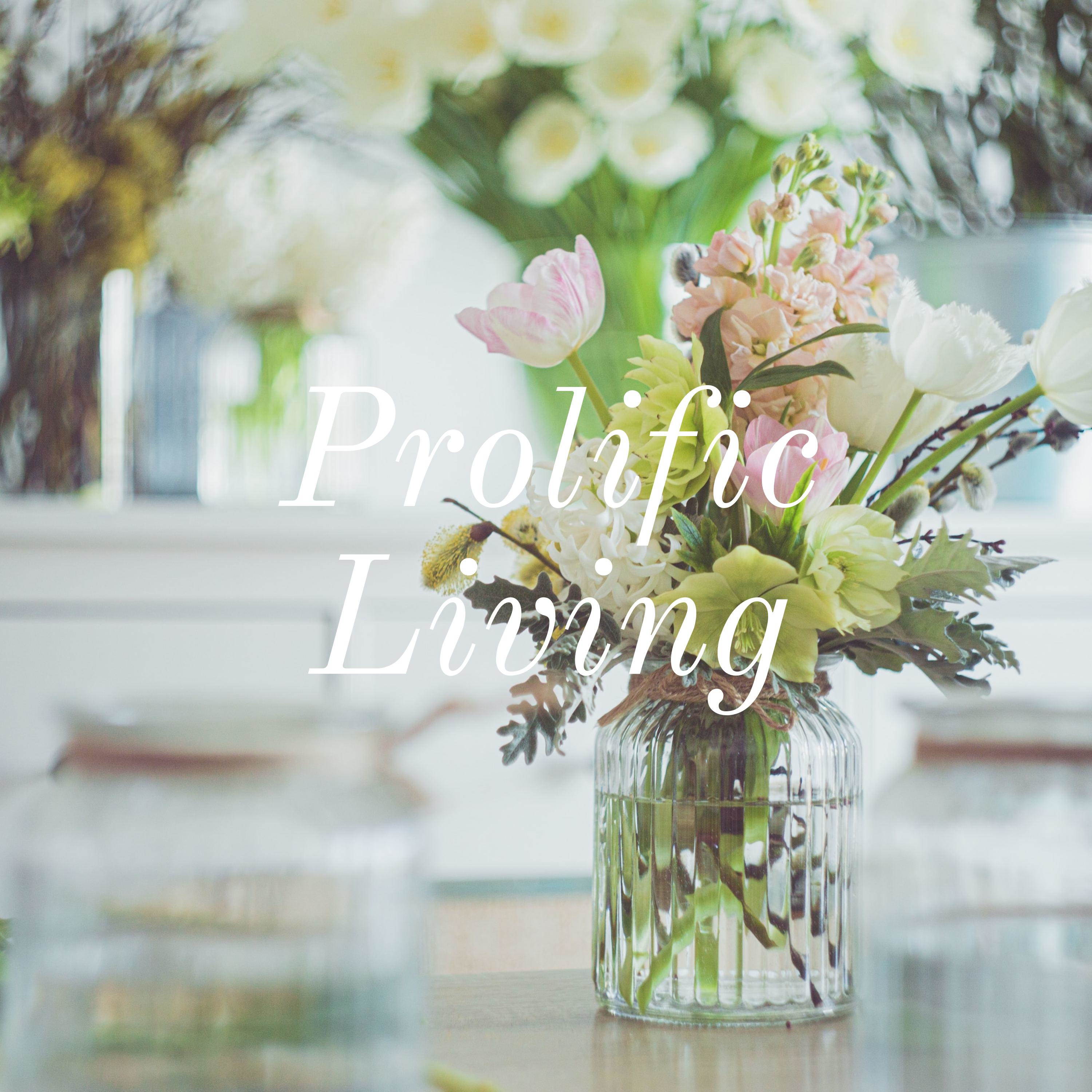 Prolific Living With Esther Oguntona 