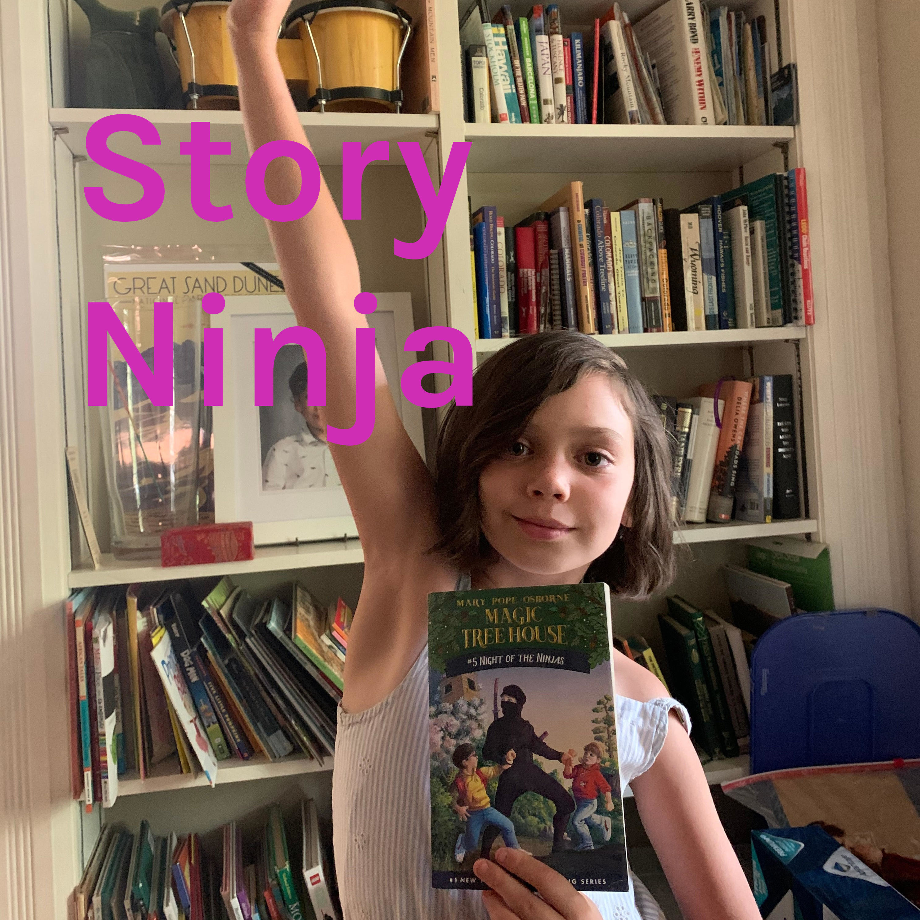 Story Ninja cover art
