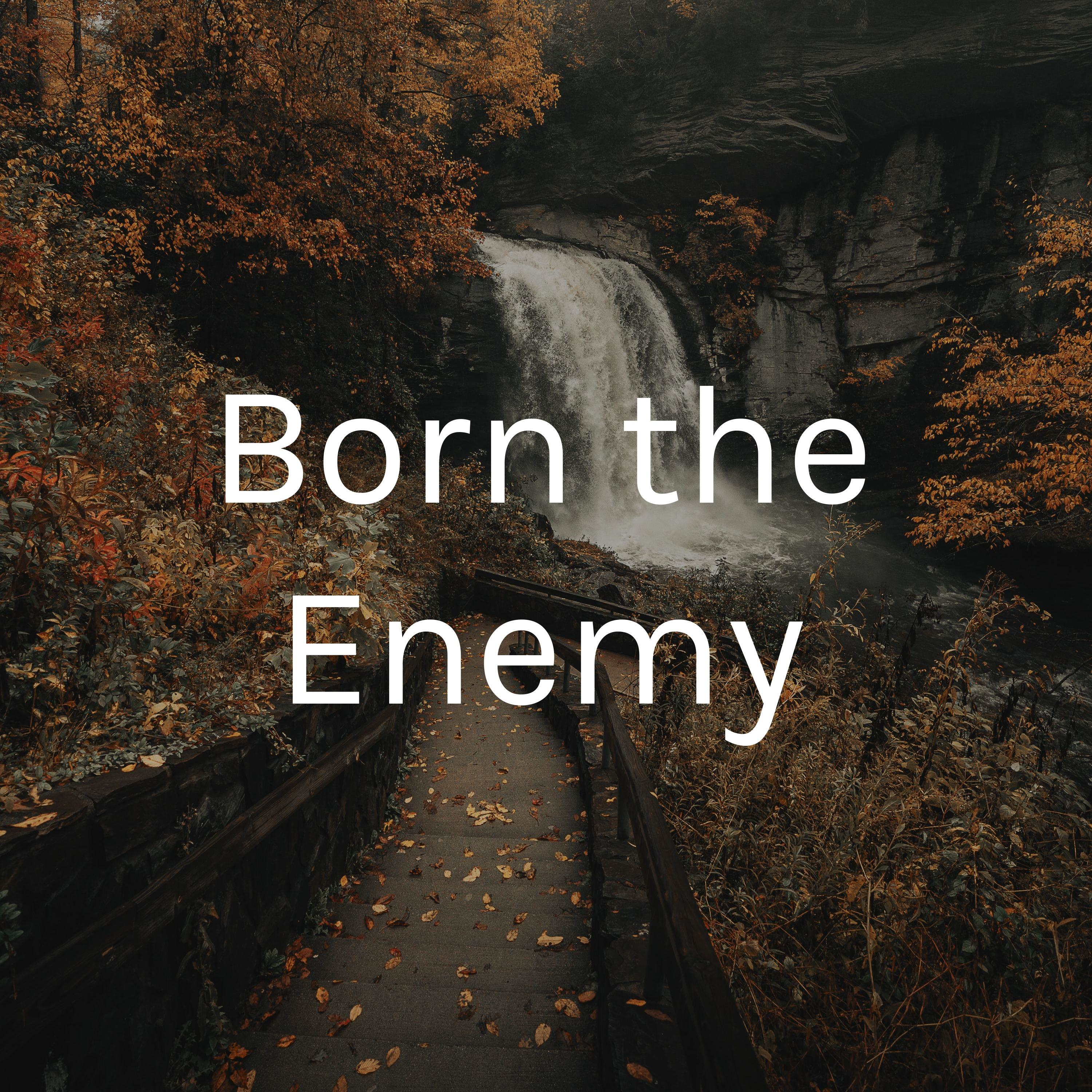 Born the Enemy cover art