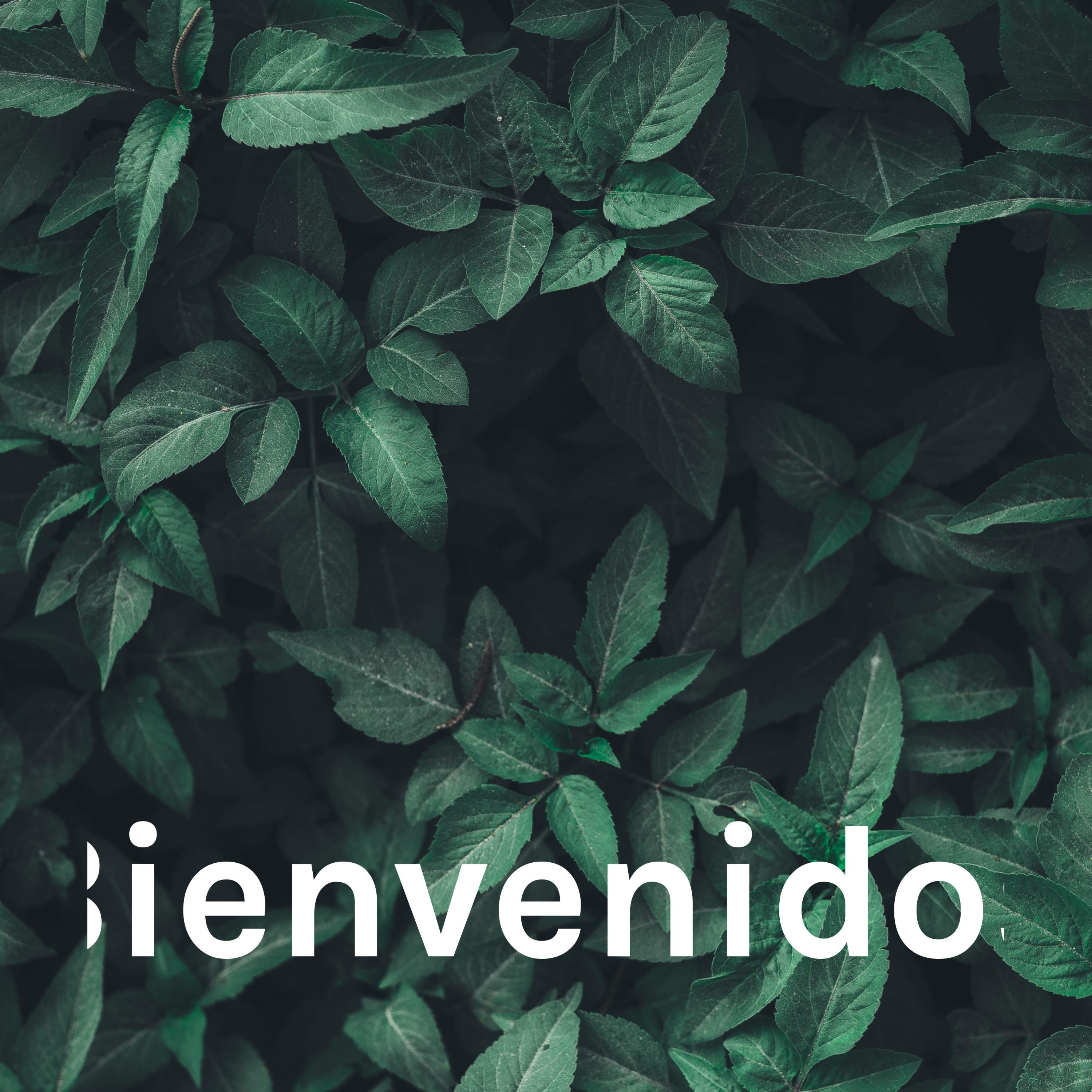 Bienvenidos