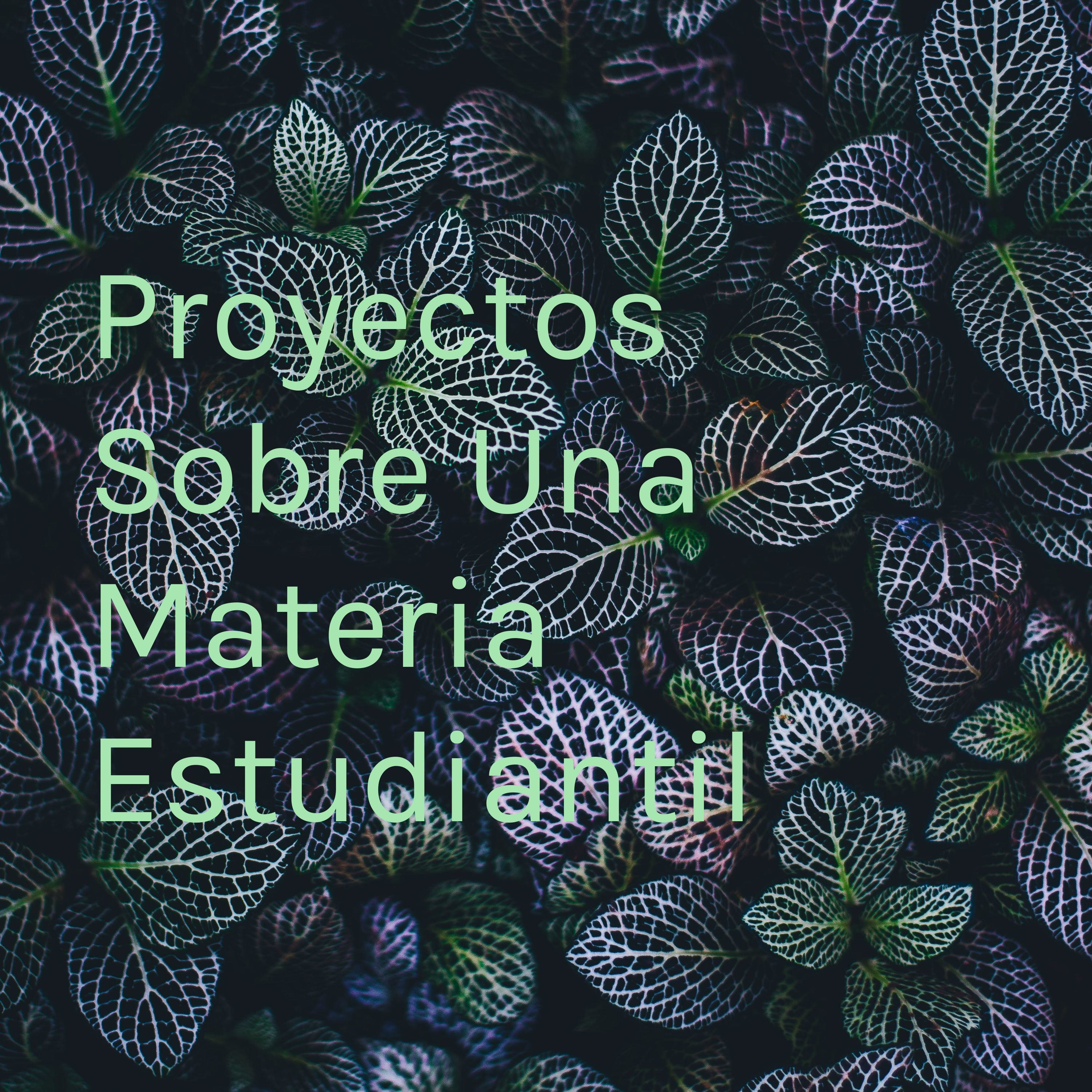 Proyectos Sobre Una Materia Estudiantil