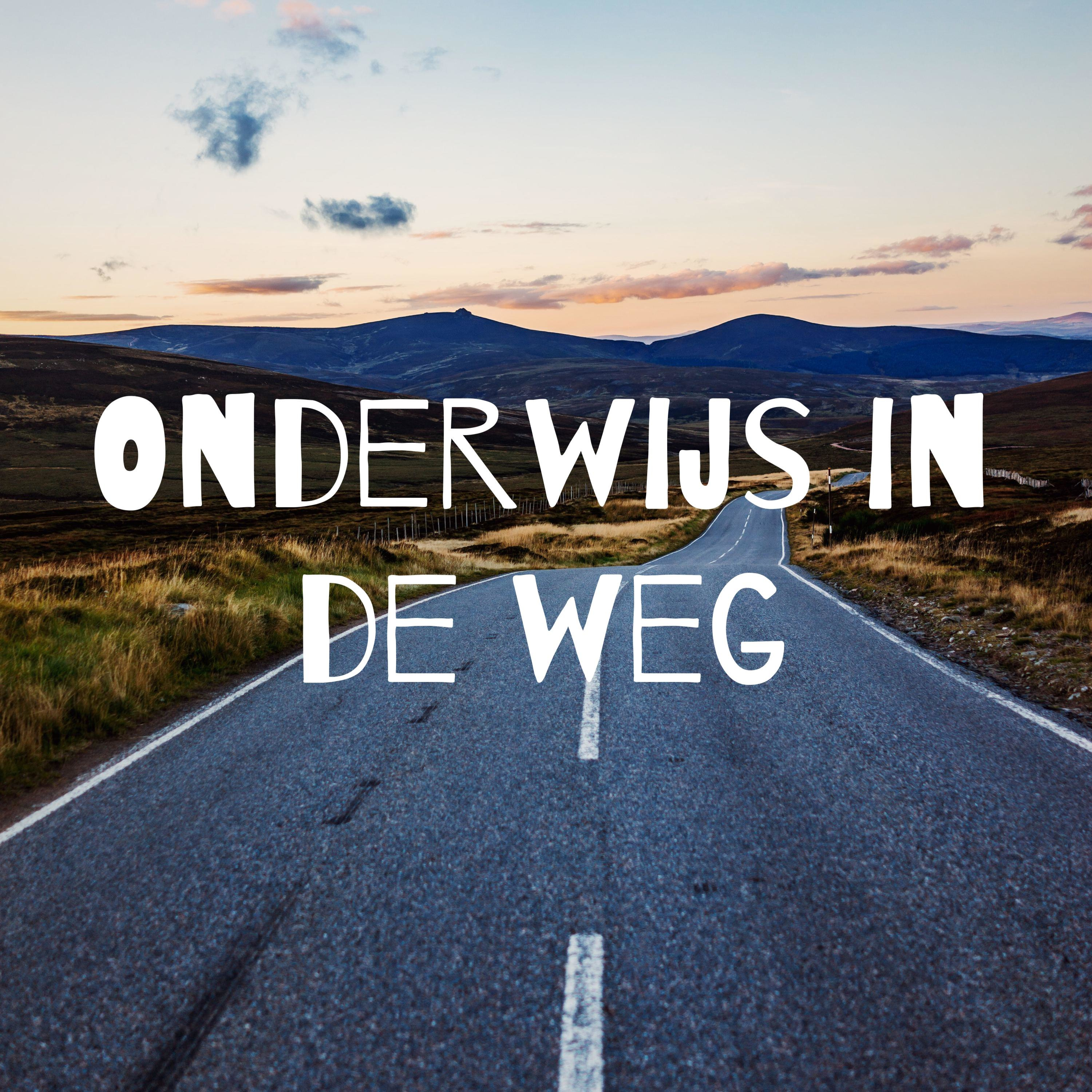 Onderwijs in de weg