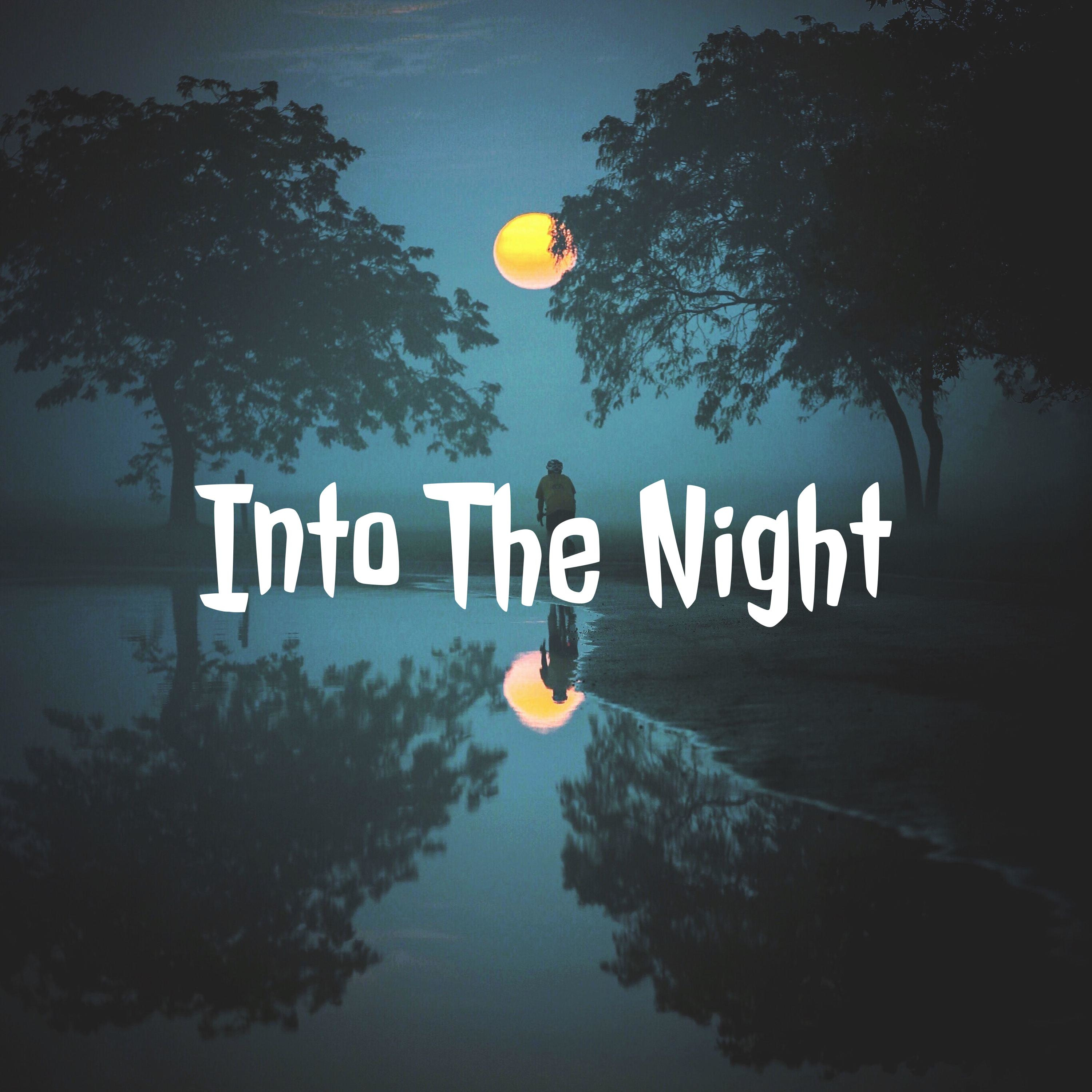 Into The Night