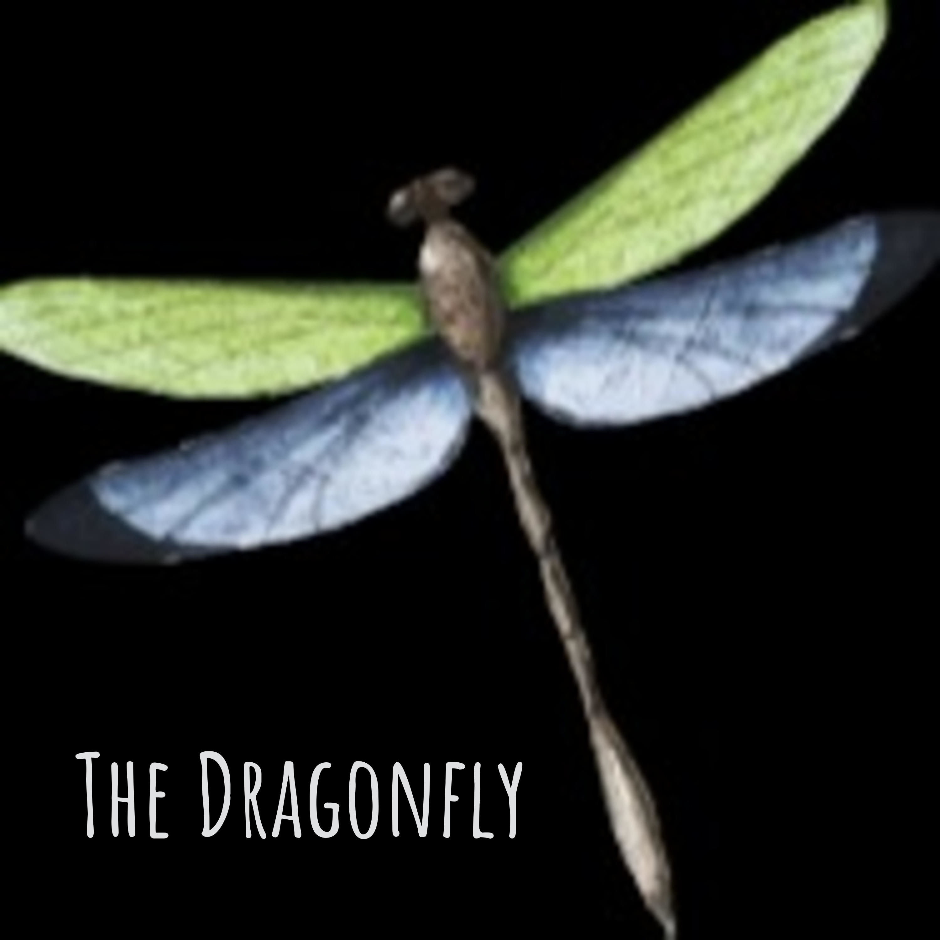 The Dragonfly - Real Connection Sessions