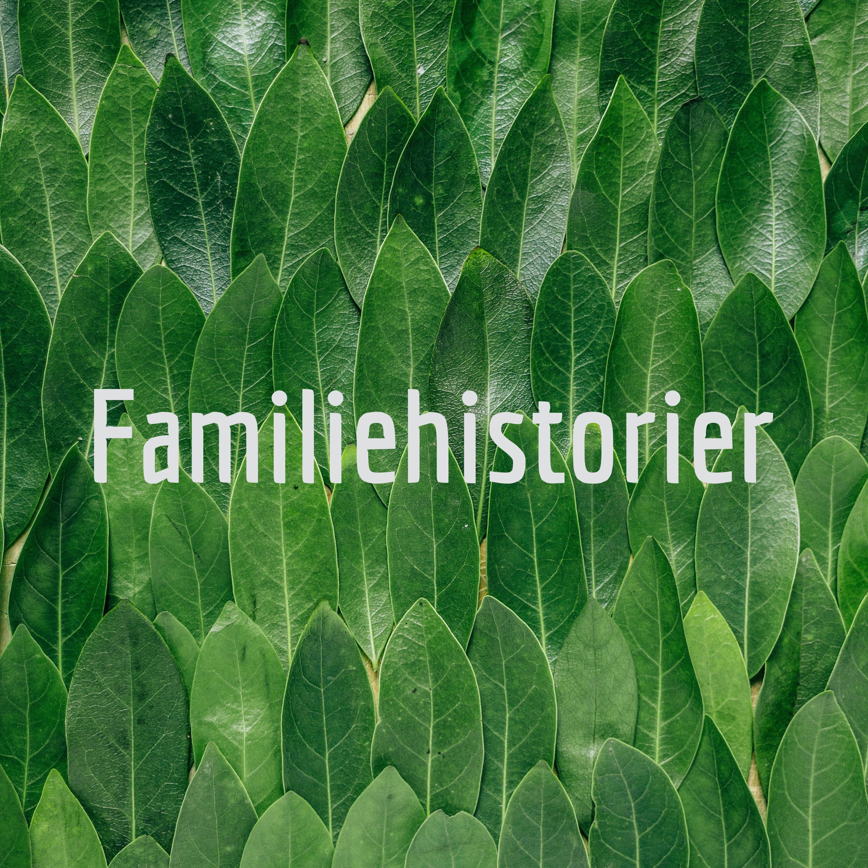 EkanderJakobsen af Kenneth Ekander Jakobsen