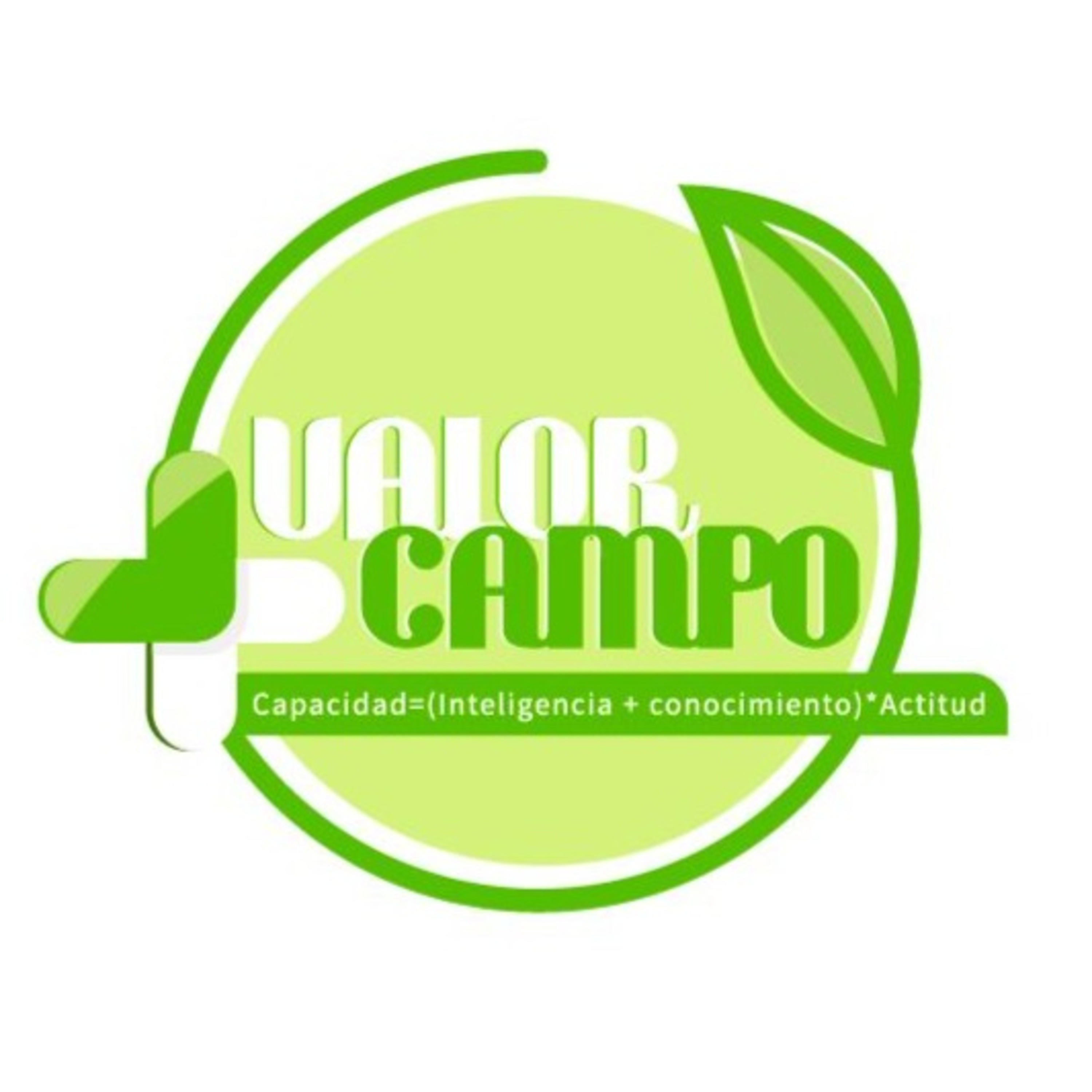 VALOR CAMPO