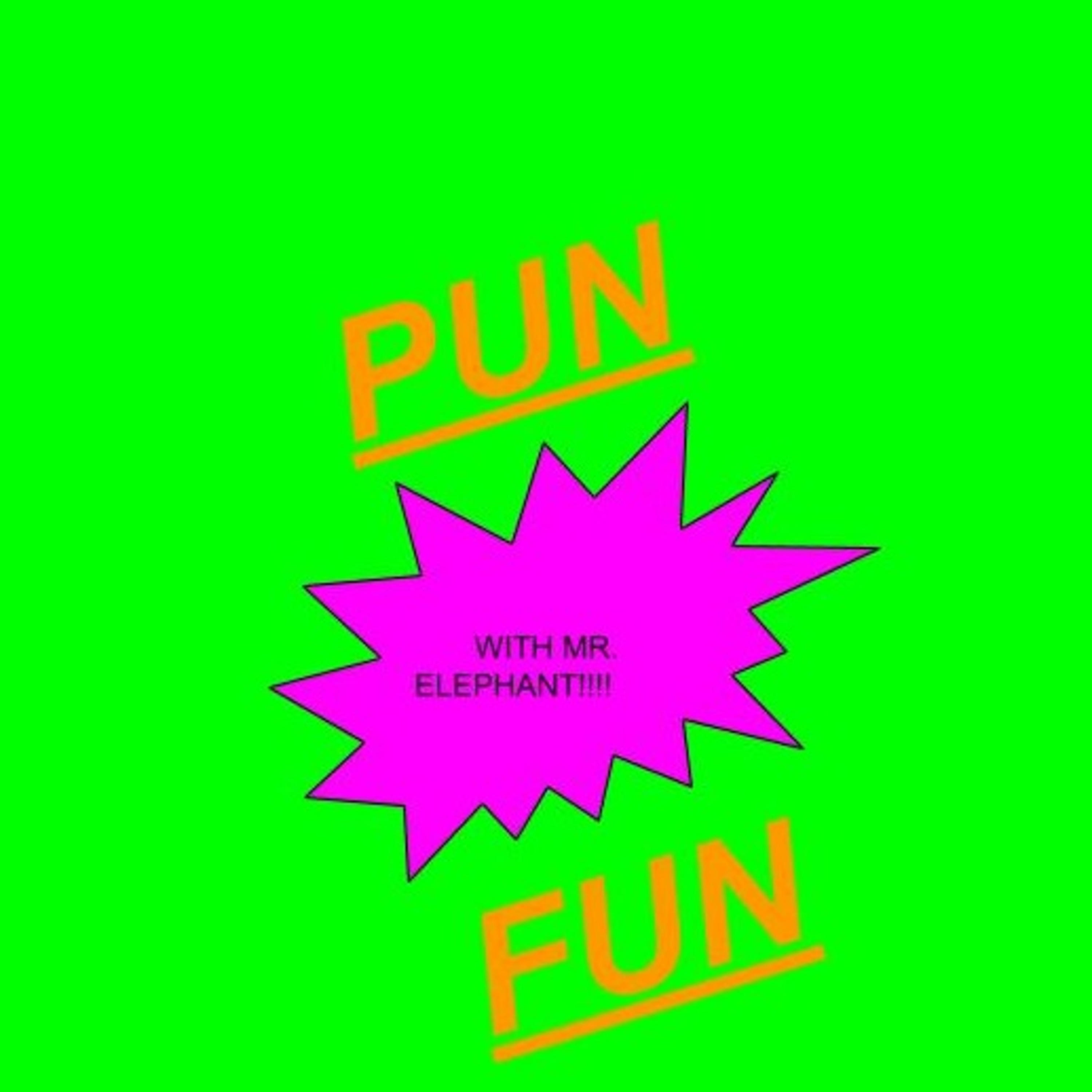 PUN FUN cover
