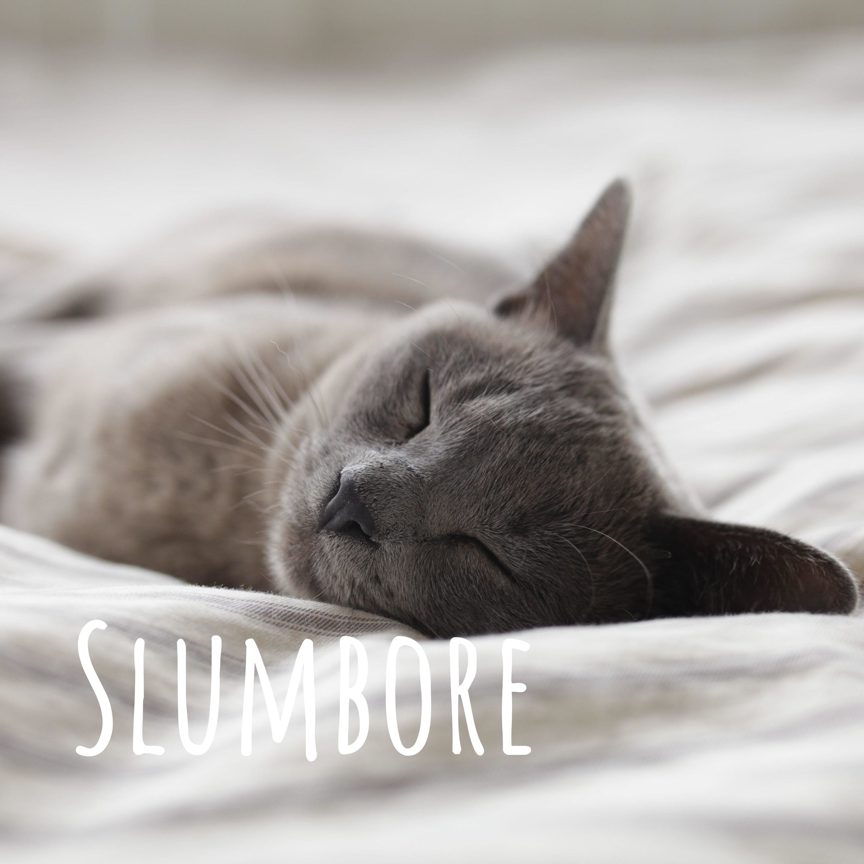 Slumbore podcast artwork