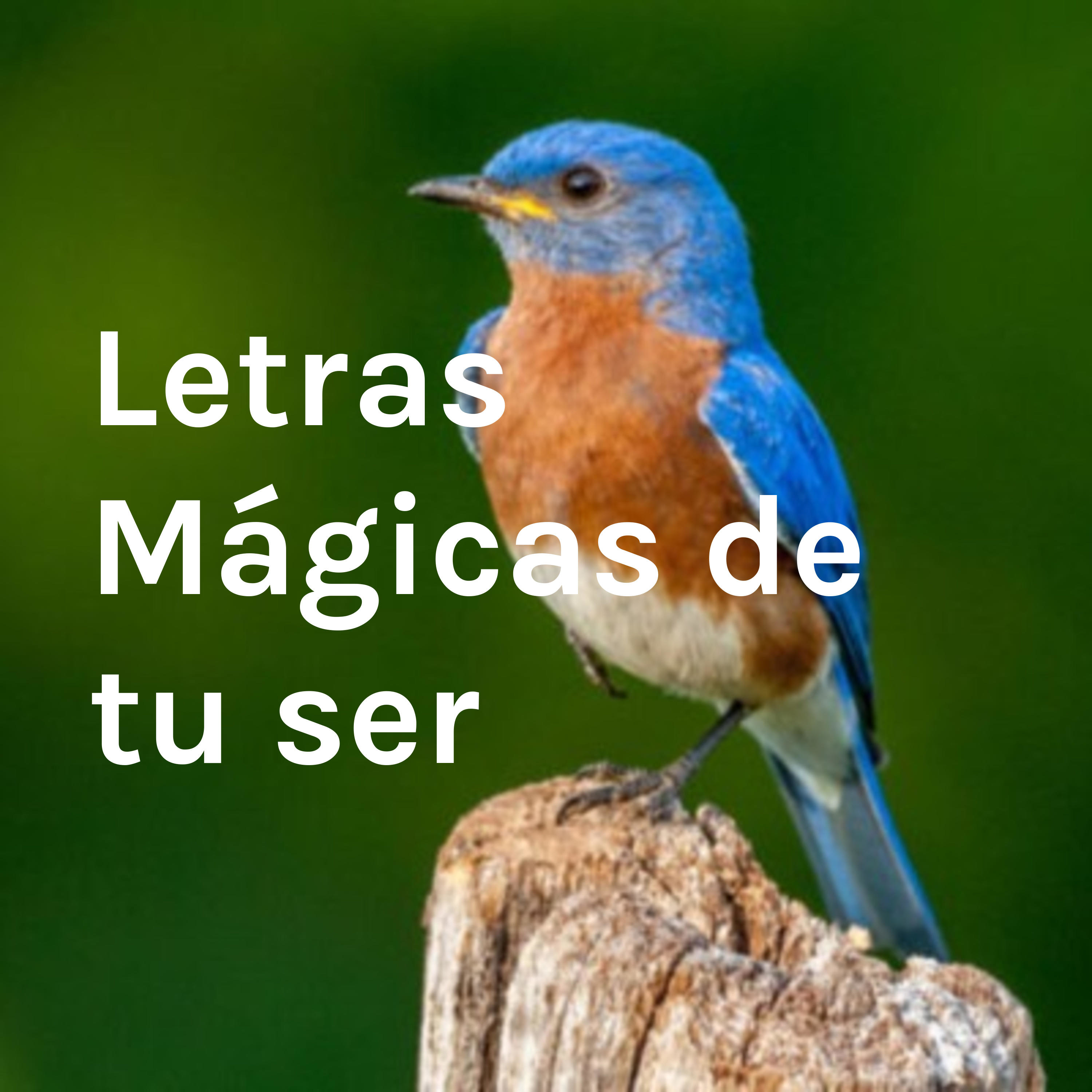 carta de un padre a su hijo.