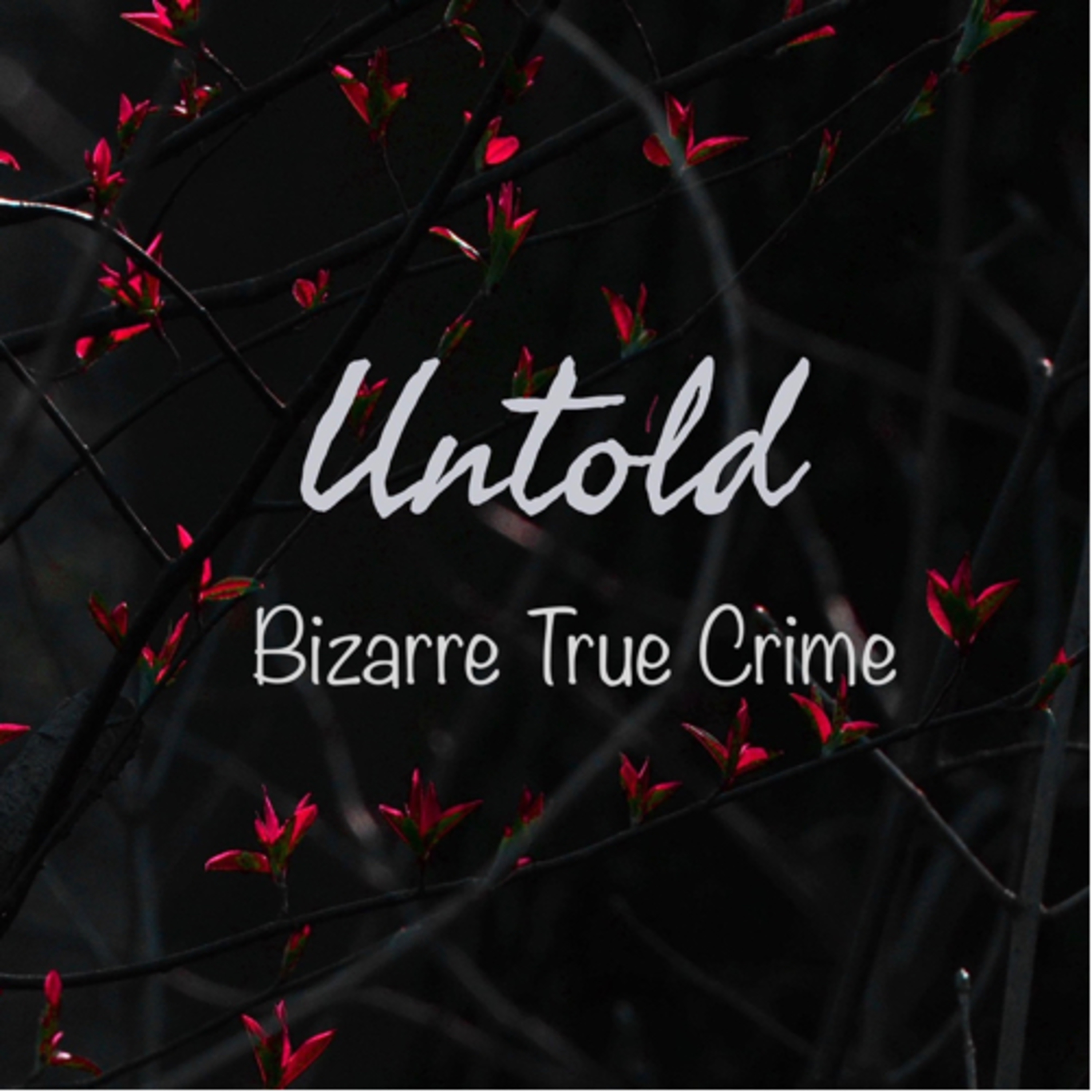 Untold Bizarre True Crime