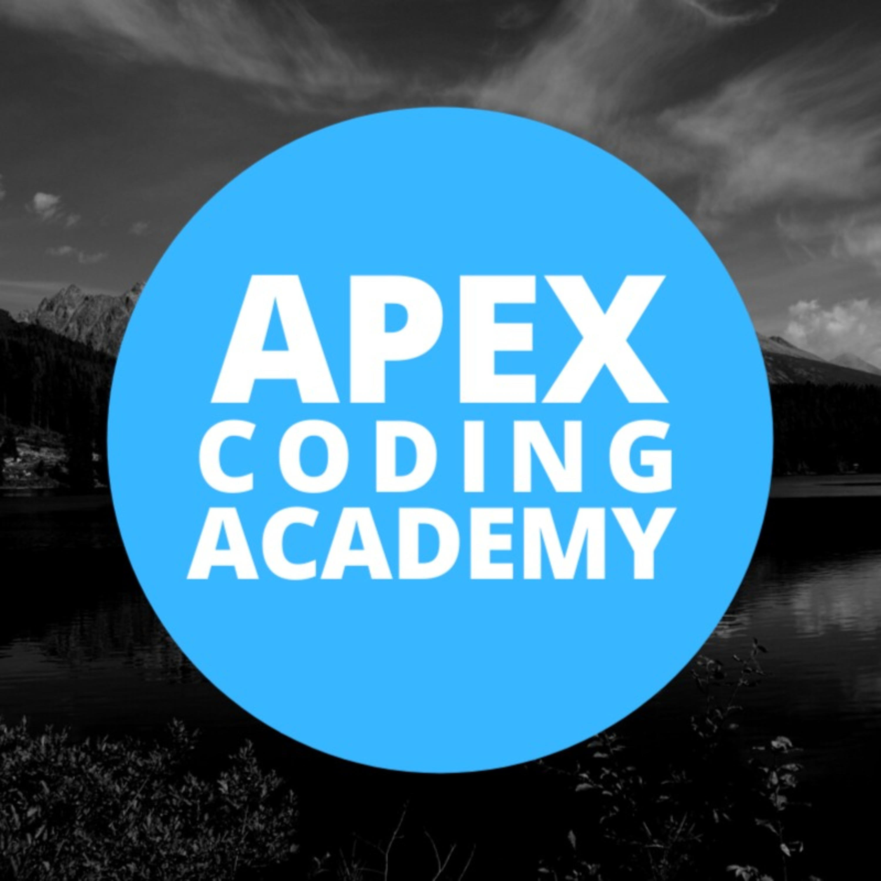 Apex Coding Academy