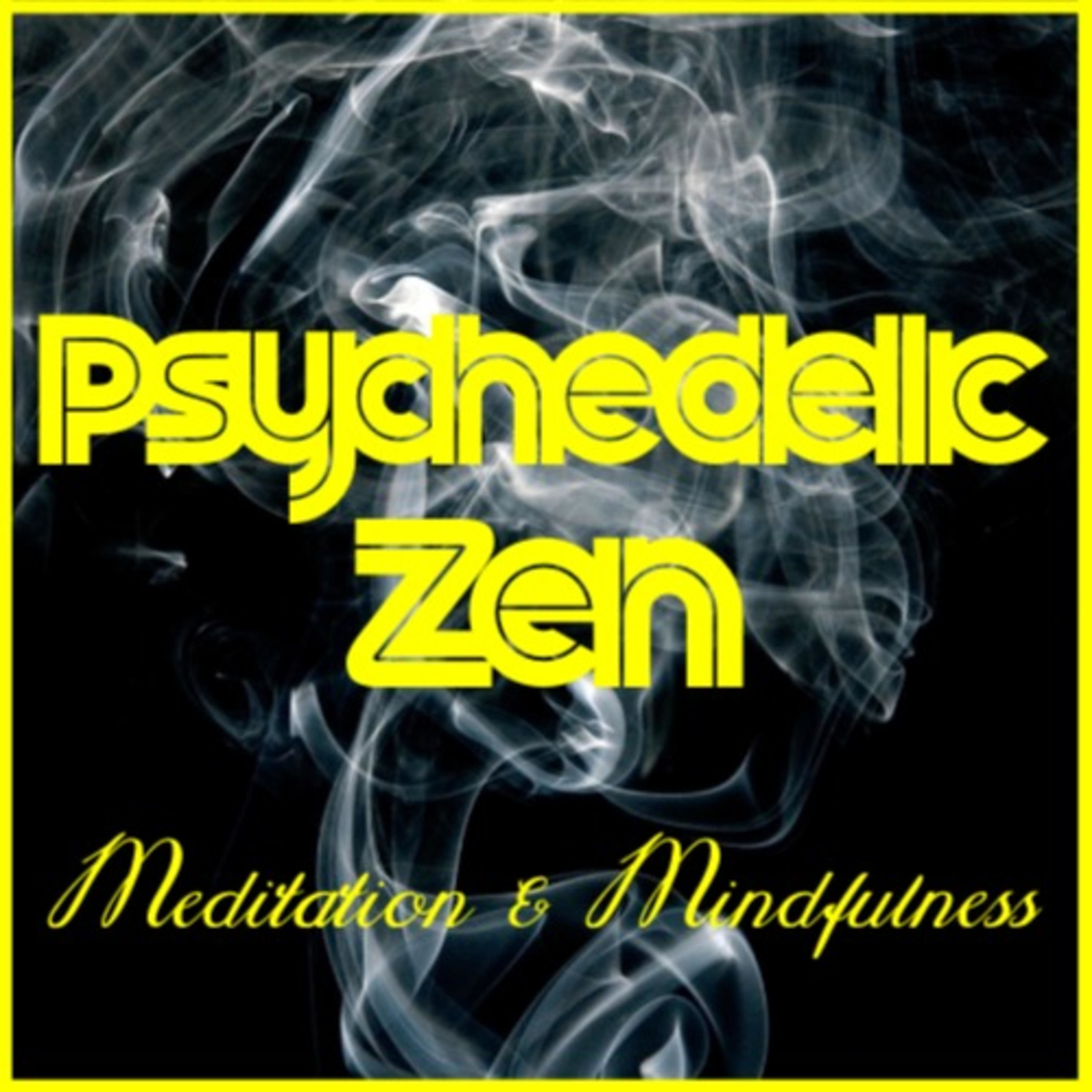 Psychedelic Zen: Meditation & Mindfulness