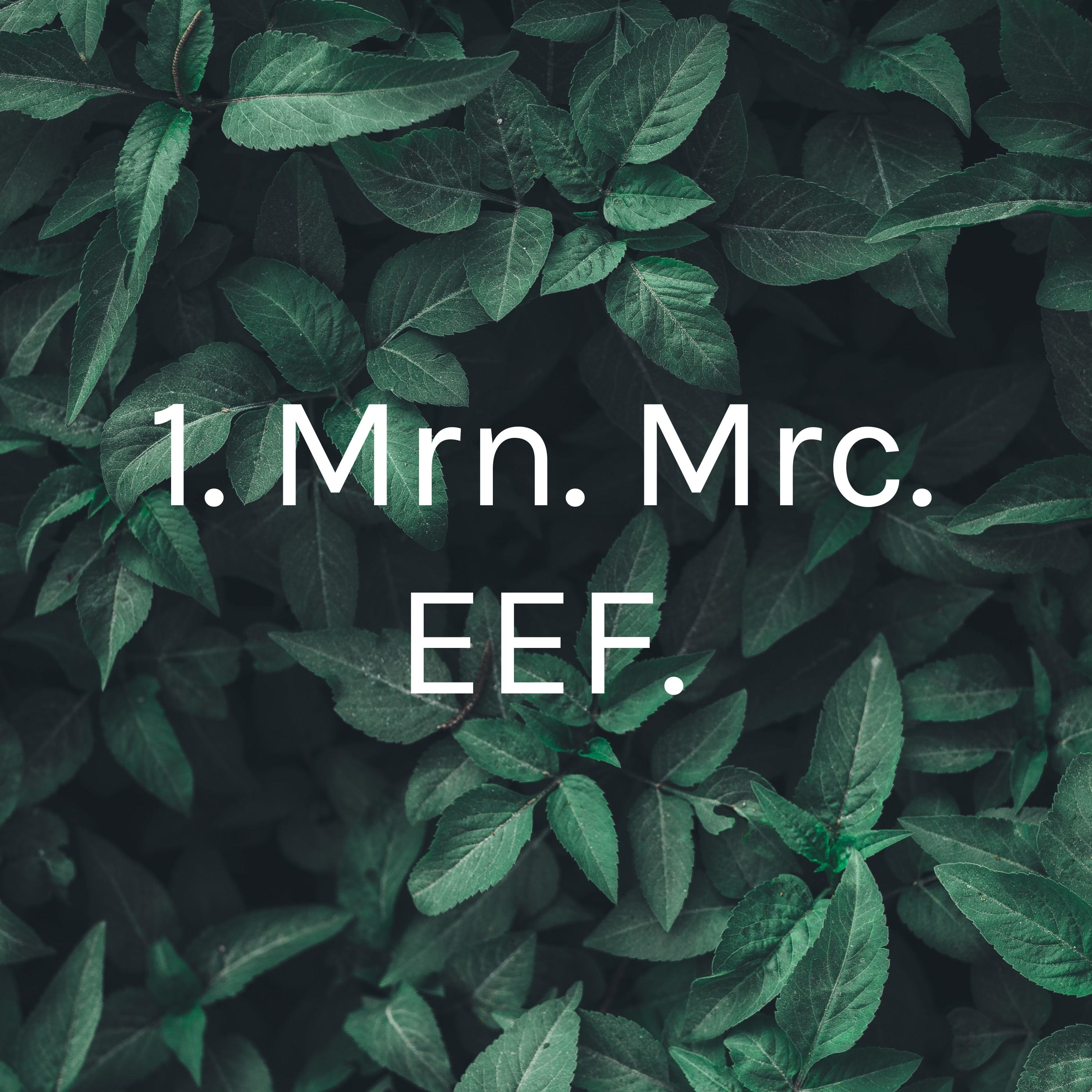 3 20201017. LSR. EEF. Mrc. Hector Monsalve. 
