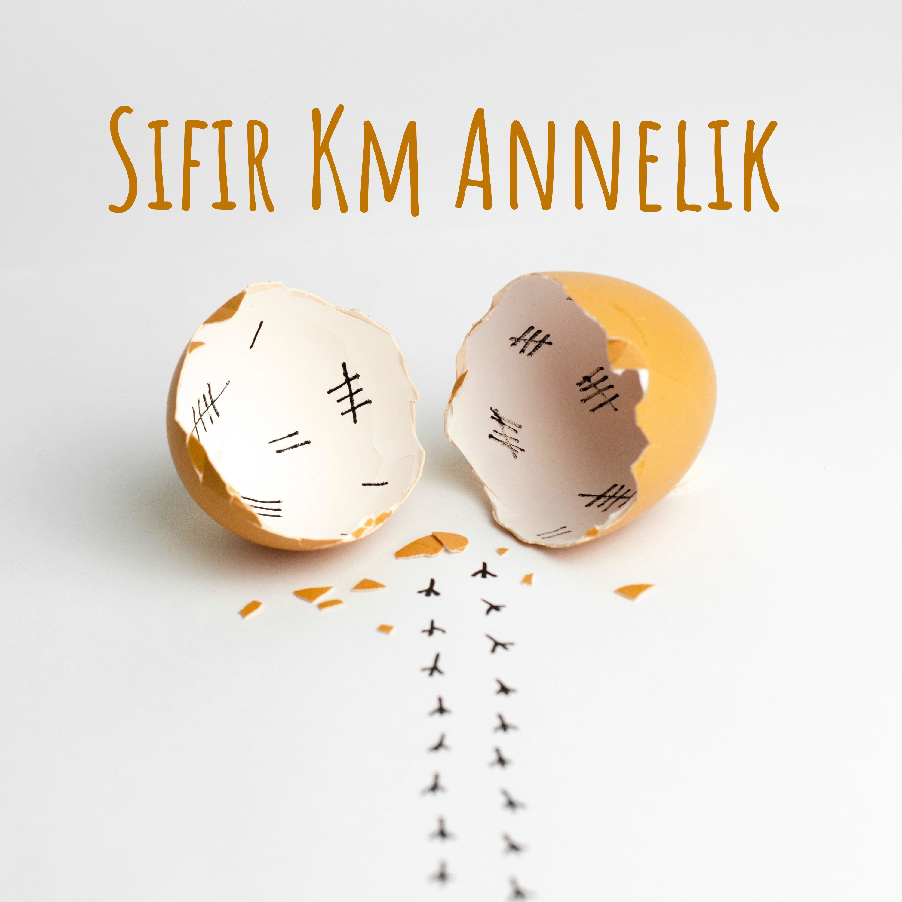 Sıfır Km Annelik