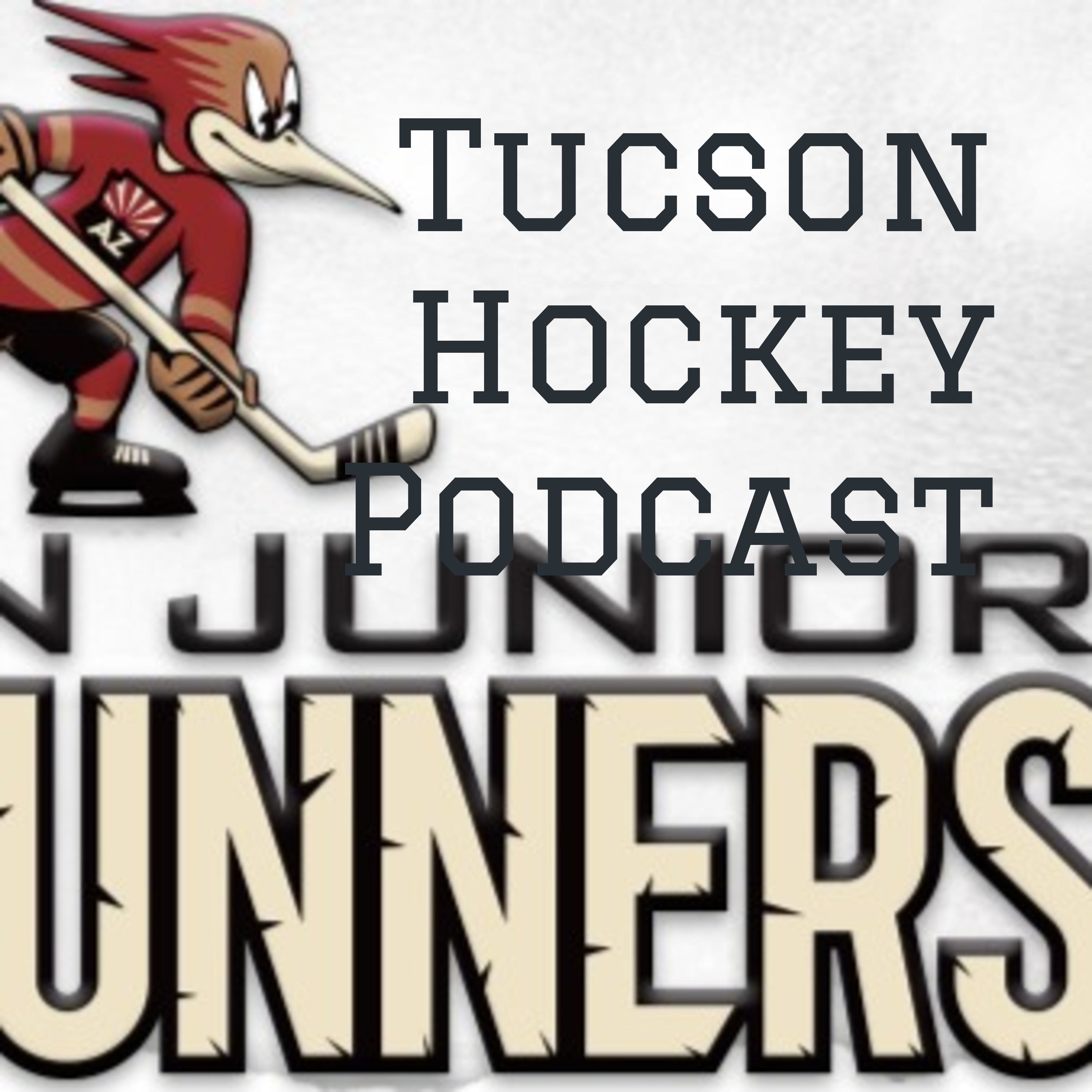 Tucson Hockey Podcast #27 - Atlantic Division Preview